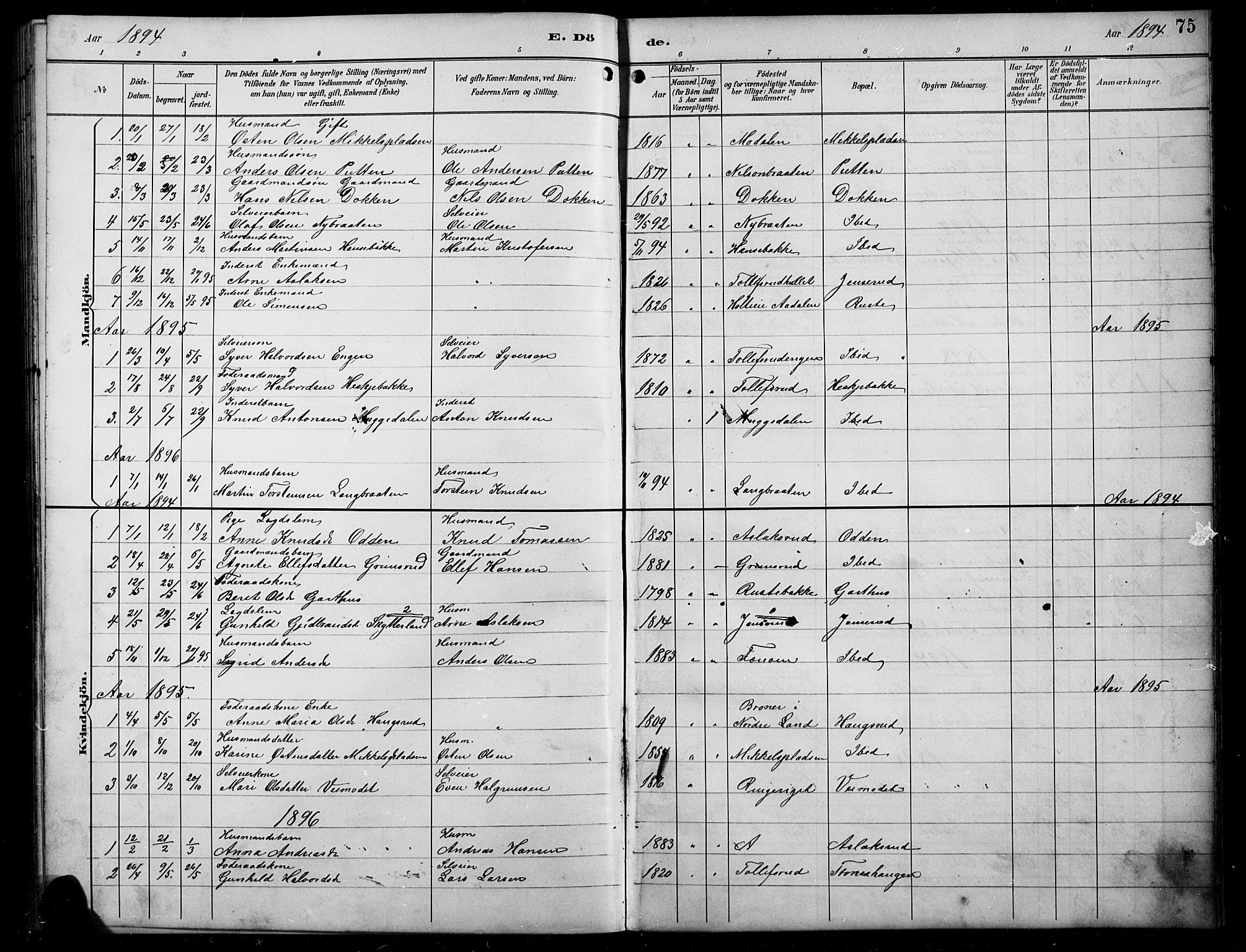 Sør-Aurdal prestekontor, SAH/PREST-128/H/Ha/Hab/L0008: Parish register (copy) no. 8, 1894-1921, p. 75