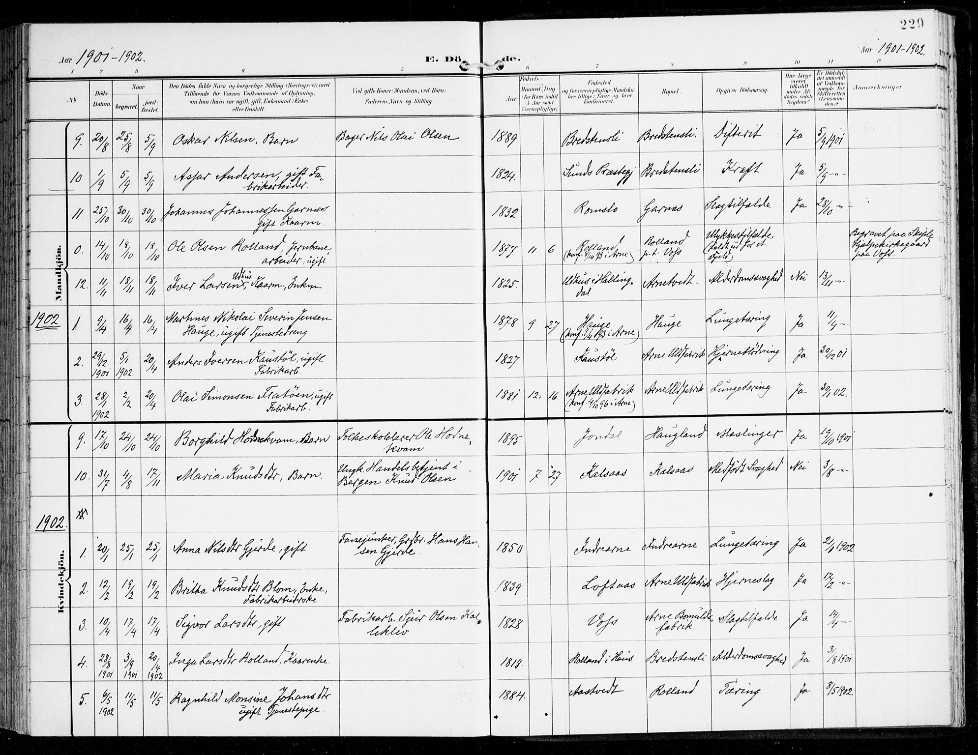 Haus sokneprestembete, SAB/A-75601/H/Haa: Parish register (official) no. D 2, 1899-1912, p. 229