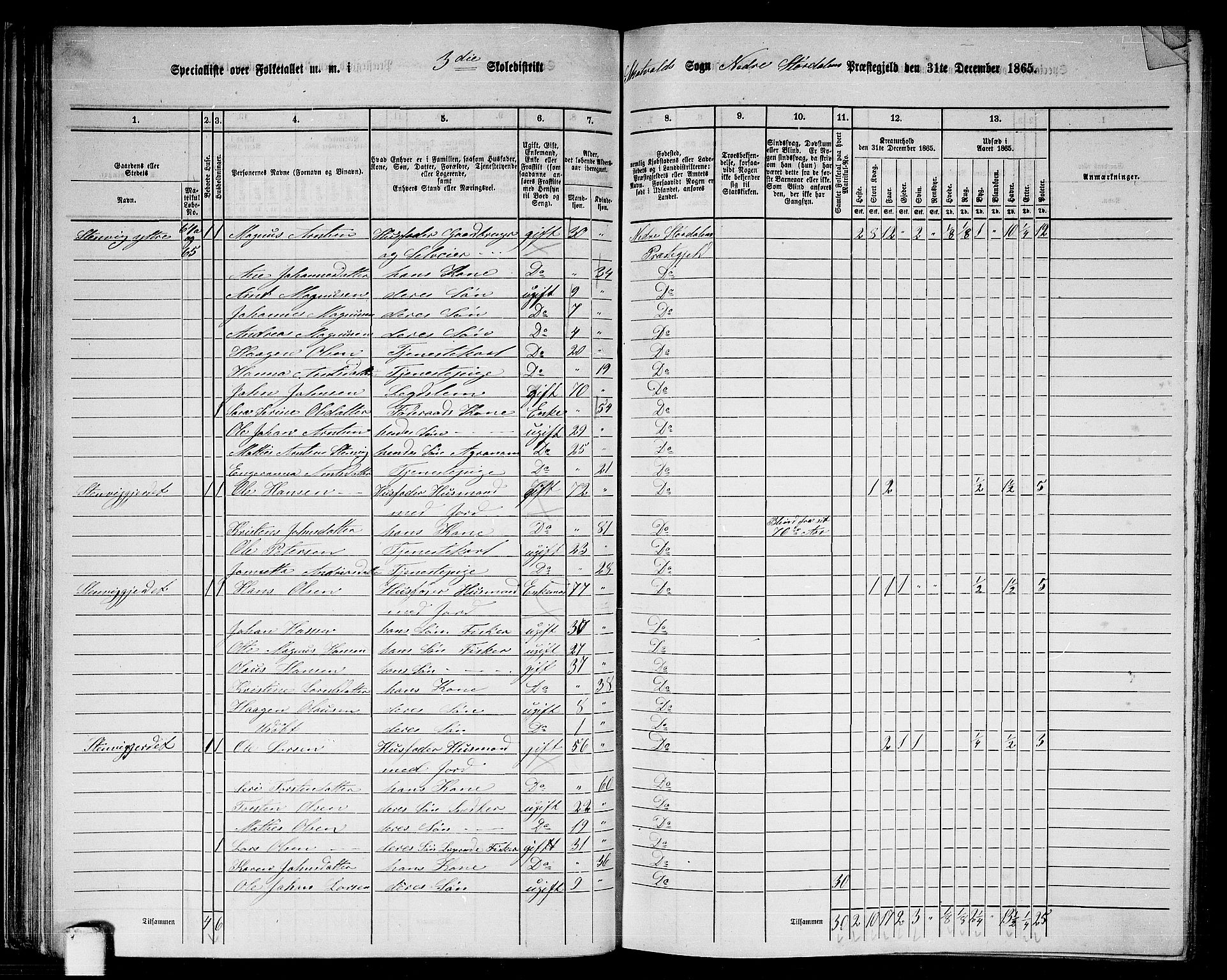 RA, 1865 census for Nedre Stjørdal, 1865, p. 56