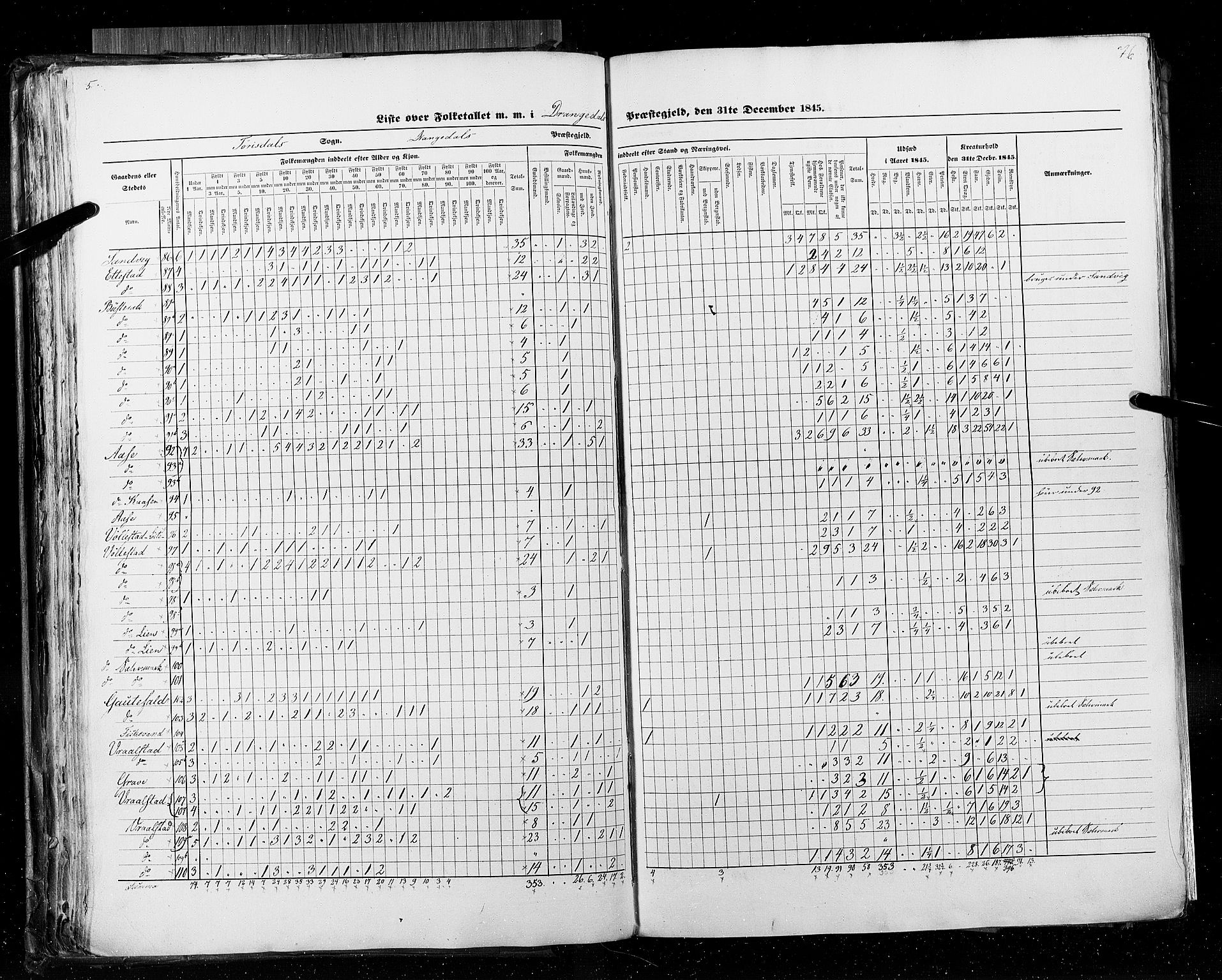 RA, Census 1845, vol. 5: Bratsberg amt og Nedenes og Råbyggelaget amt, 1845, p. 76