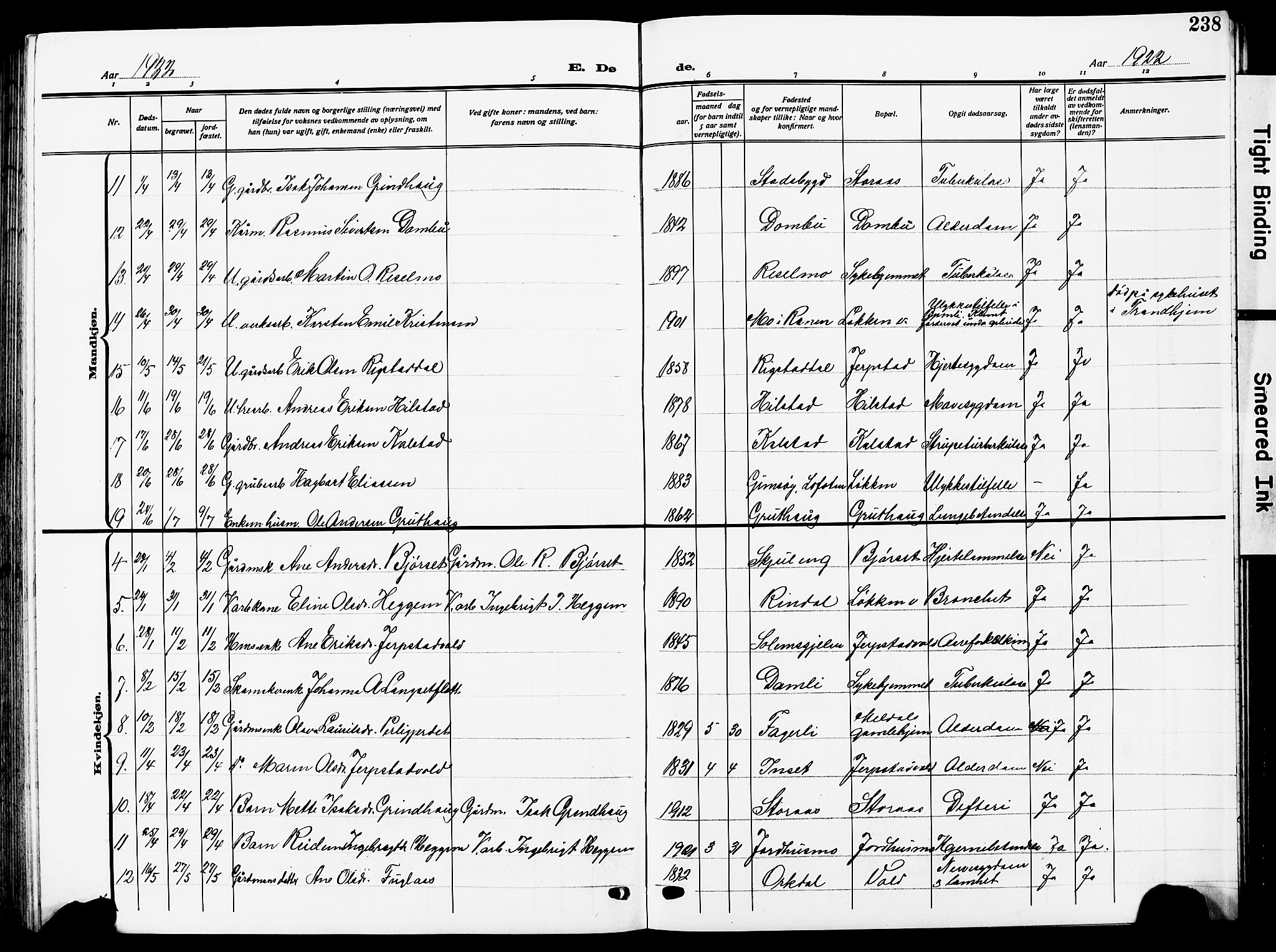 Ministerialprotokoller, klokkerbøker og fødselsregistre - Sør-Trøndelag, SAT/A-1456/672/L0865: Parish register (copy) no. 672C04, 1914-1928, p. 238