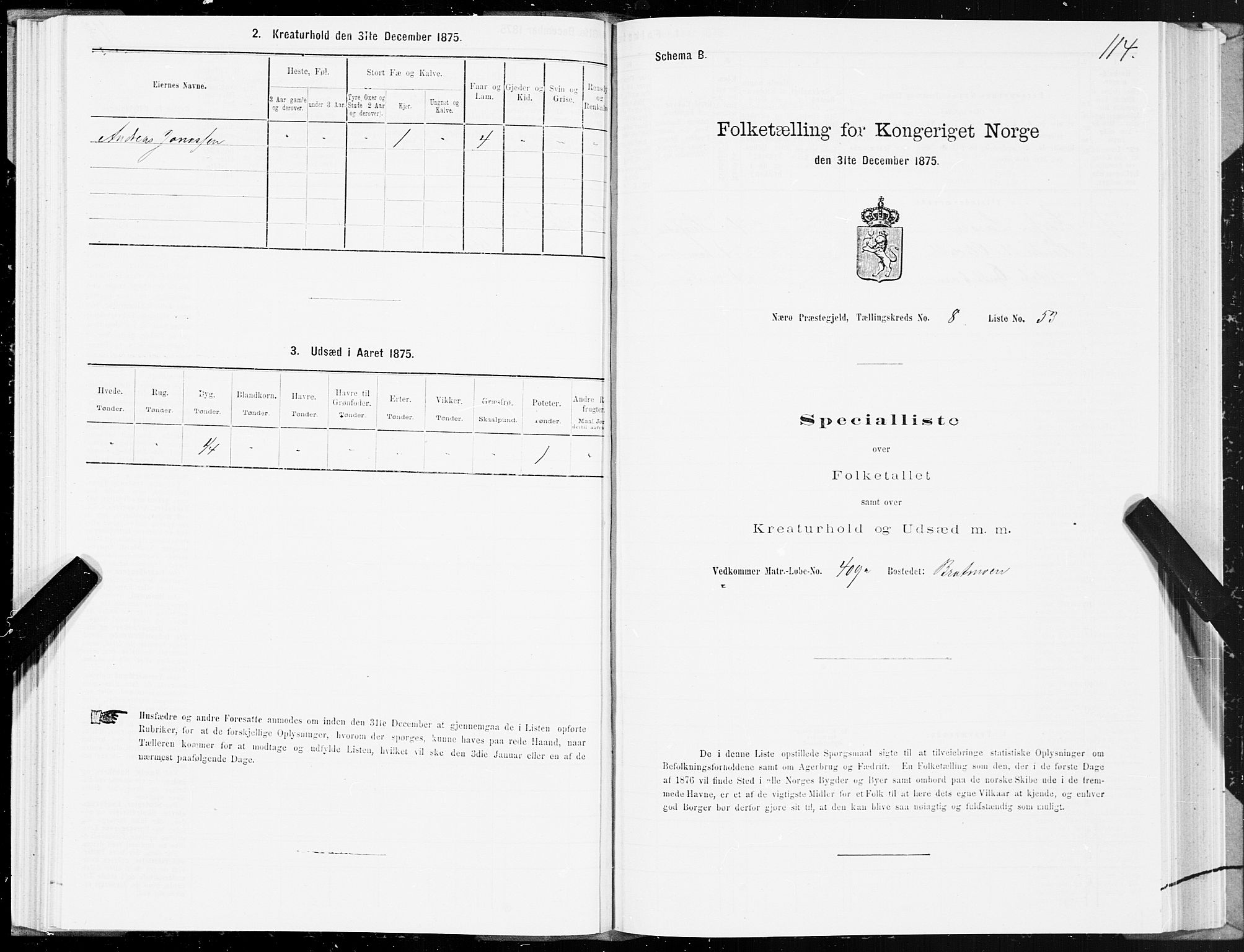 SAT, 1875 census for 1751P Nærøy, 1875, p. 4114