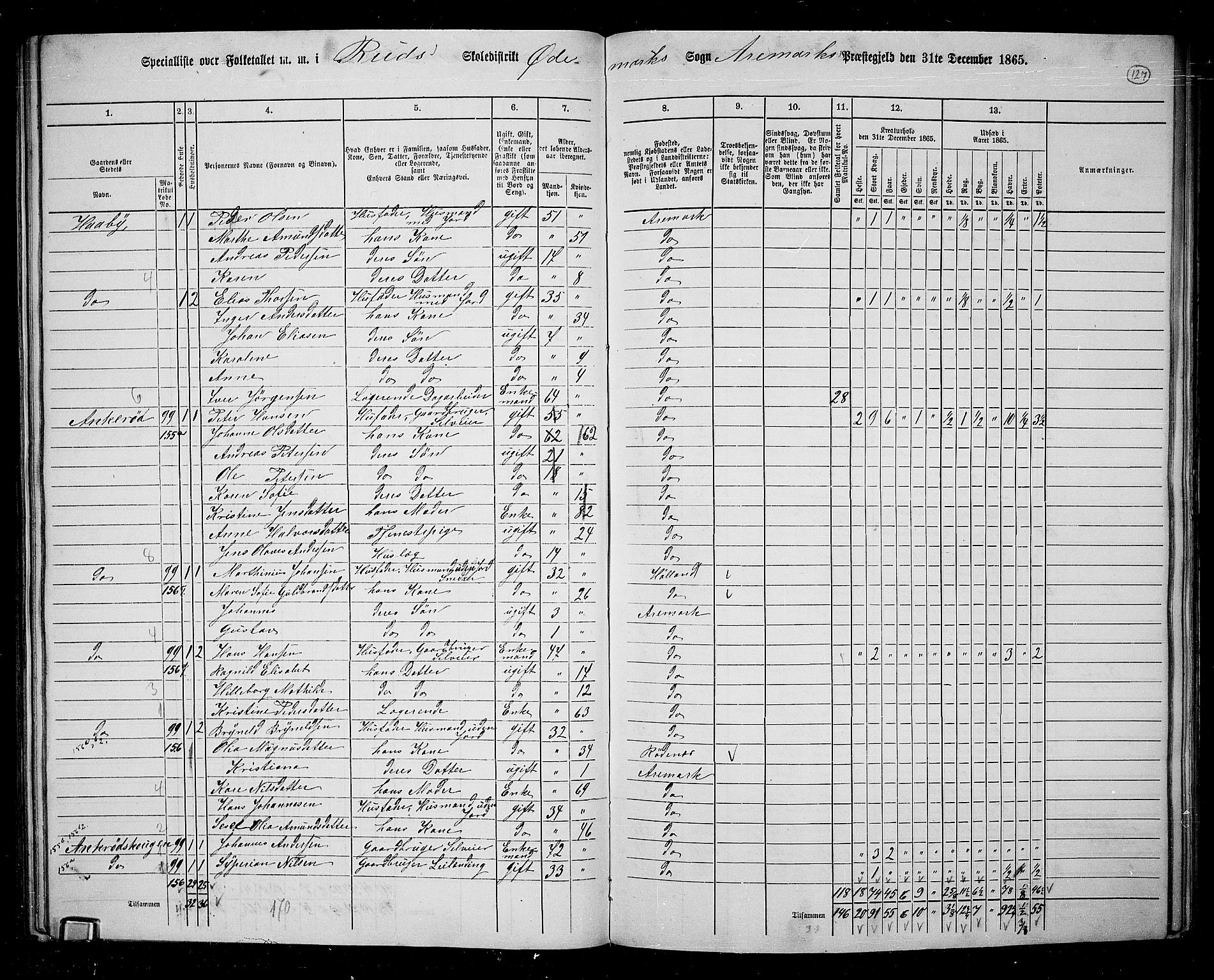 RA, 1865 census for Aremark, 1865, p. 116