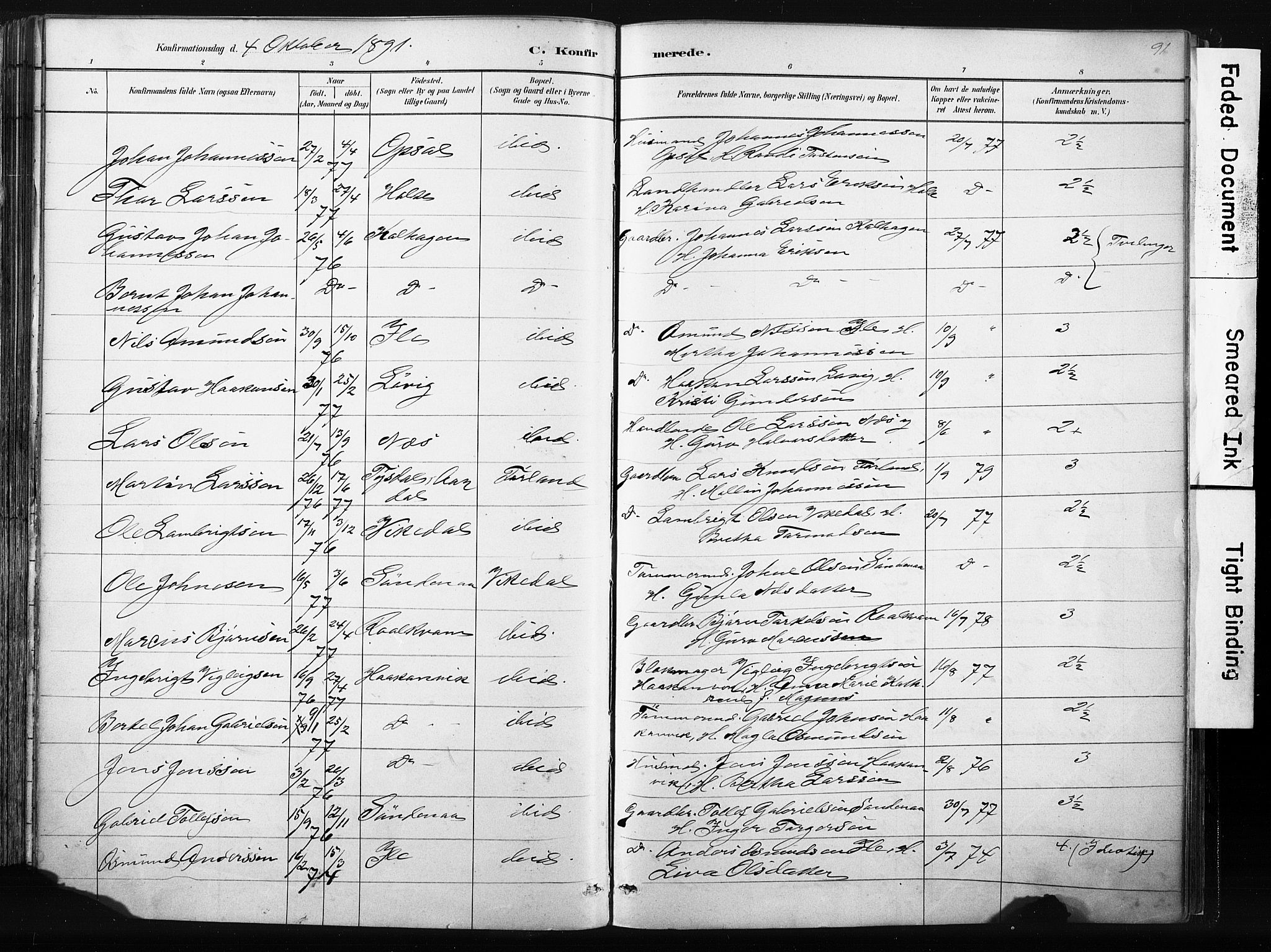 Vikedal sokneprestkontor, AV/SAST-A-101840/01/IV: Parish register (official) no. A 10, 1884-1907, p. 91