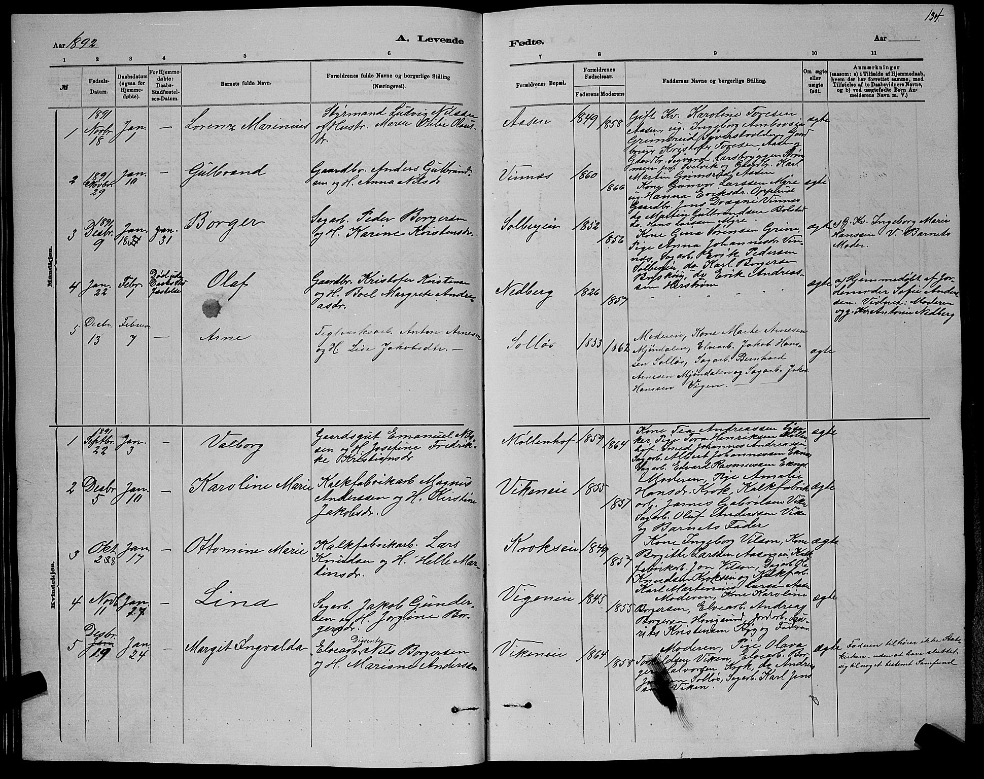 Nedre Eiker kirkebøker, AV/SAKO-A-612/G/Ga/L0002: Parish register (copy) no. 2, 1880-1896, p. 134