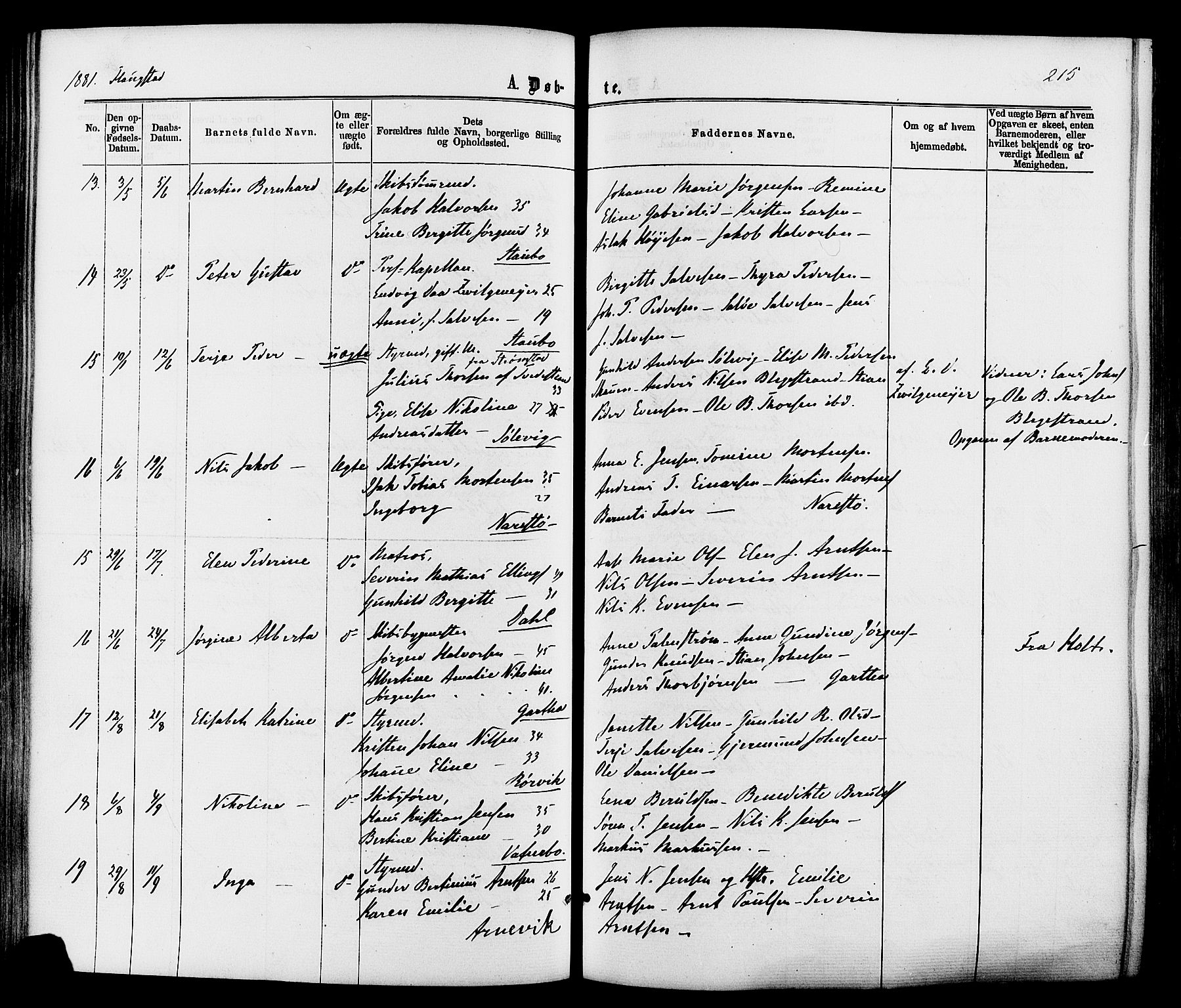 Dypvåg sokneprestkontor, AV/SAK-1111-0007/F/Fa/Faa/L0007: Parish register (official) no. A 7 /2, 1877-1884, p. 215