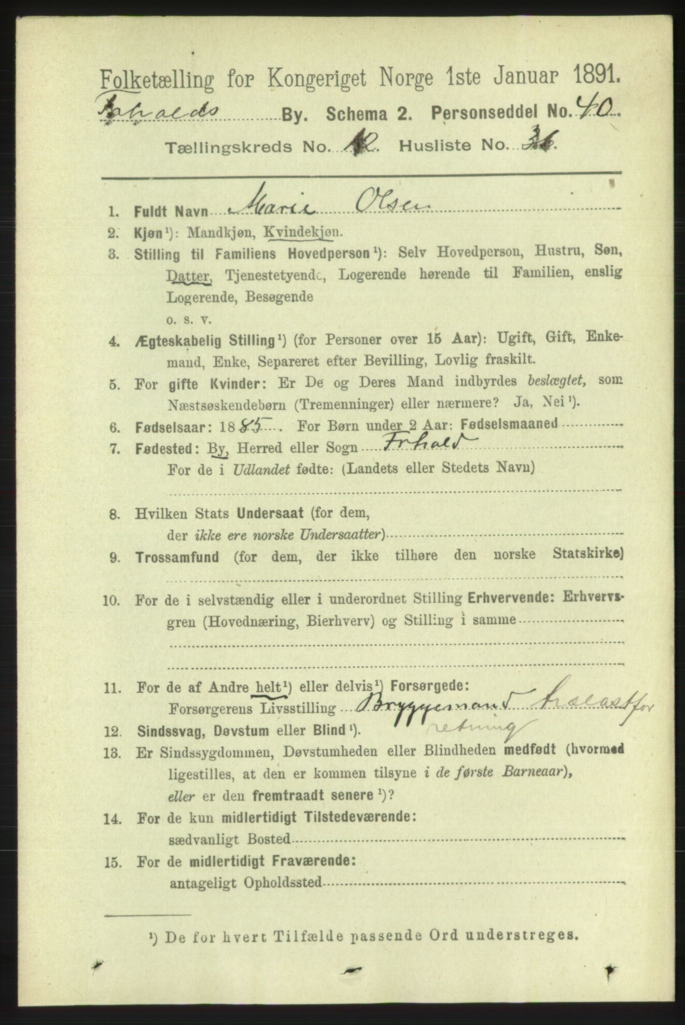 RA, 1891 census for 0101 Fredrikshald, 1891, p. 8780