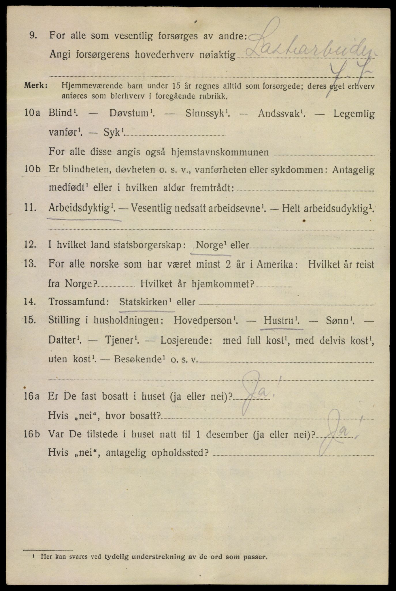 SAKO, 1920 census for Kragerø, 1920, p. 13016