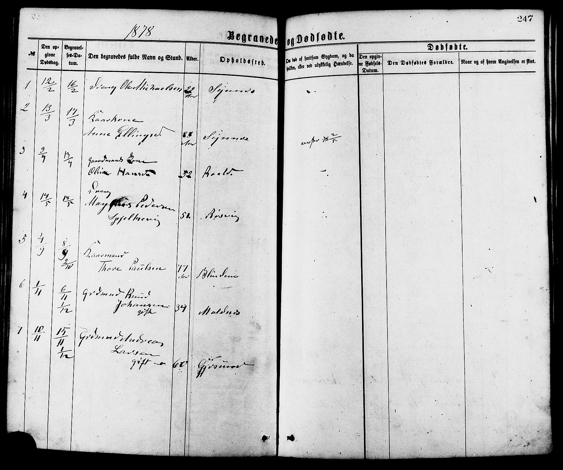 Ministerialprotokoller, klokkerbøker og fødselsregistre - Møre og Romsdal, SAT/A-1454/537/L0519: Parish register (official) no. 537A03, 1876-1889, p. 247
