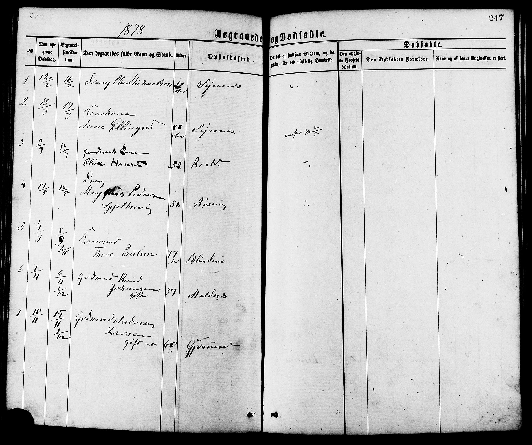 Ministerialprotokoller, klokkerbøker og fødselsregistre - Møre og Romsdal, AV/SAT-A-1454/537/L0519: Parish register (official) no. 537A03, 1876-1889, p. 247