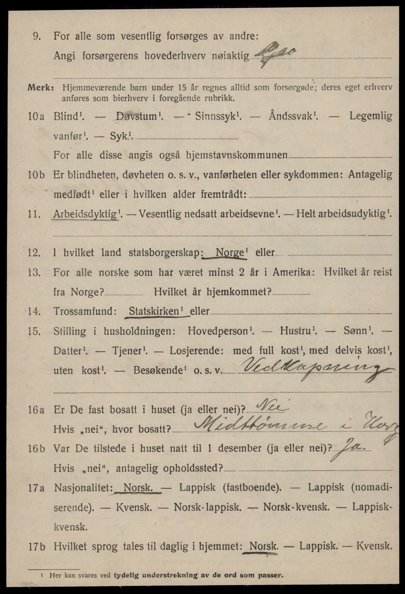 SAT, 1920 census for Horg, 1920, p. 4809