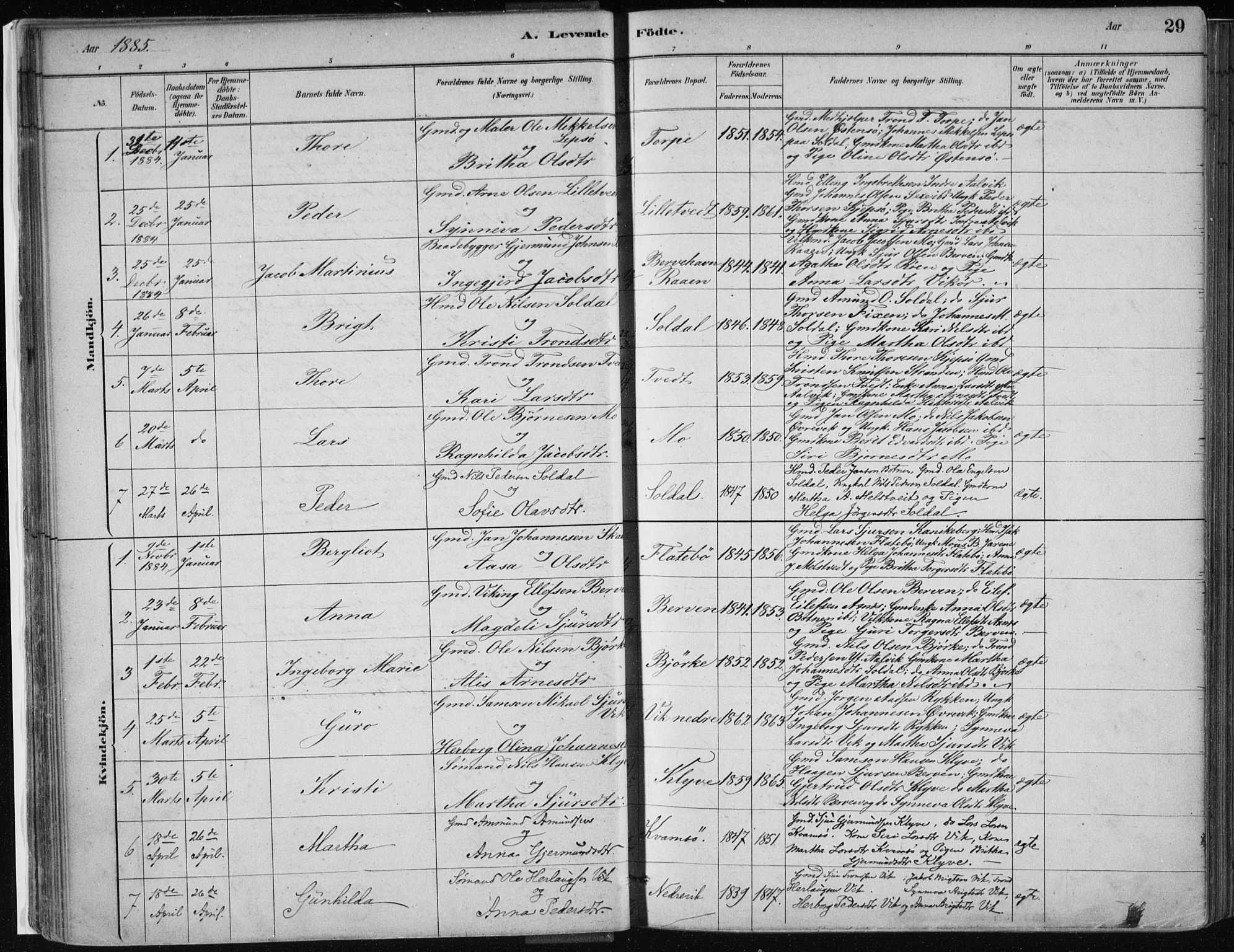 Kvam sokneprestembete, SAB/A-76201/H/Haa: Parish register (official) no. C  1, 1880-1906, p. 29