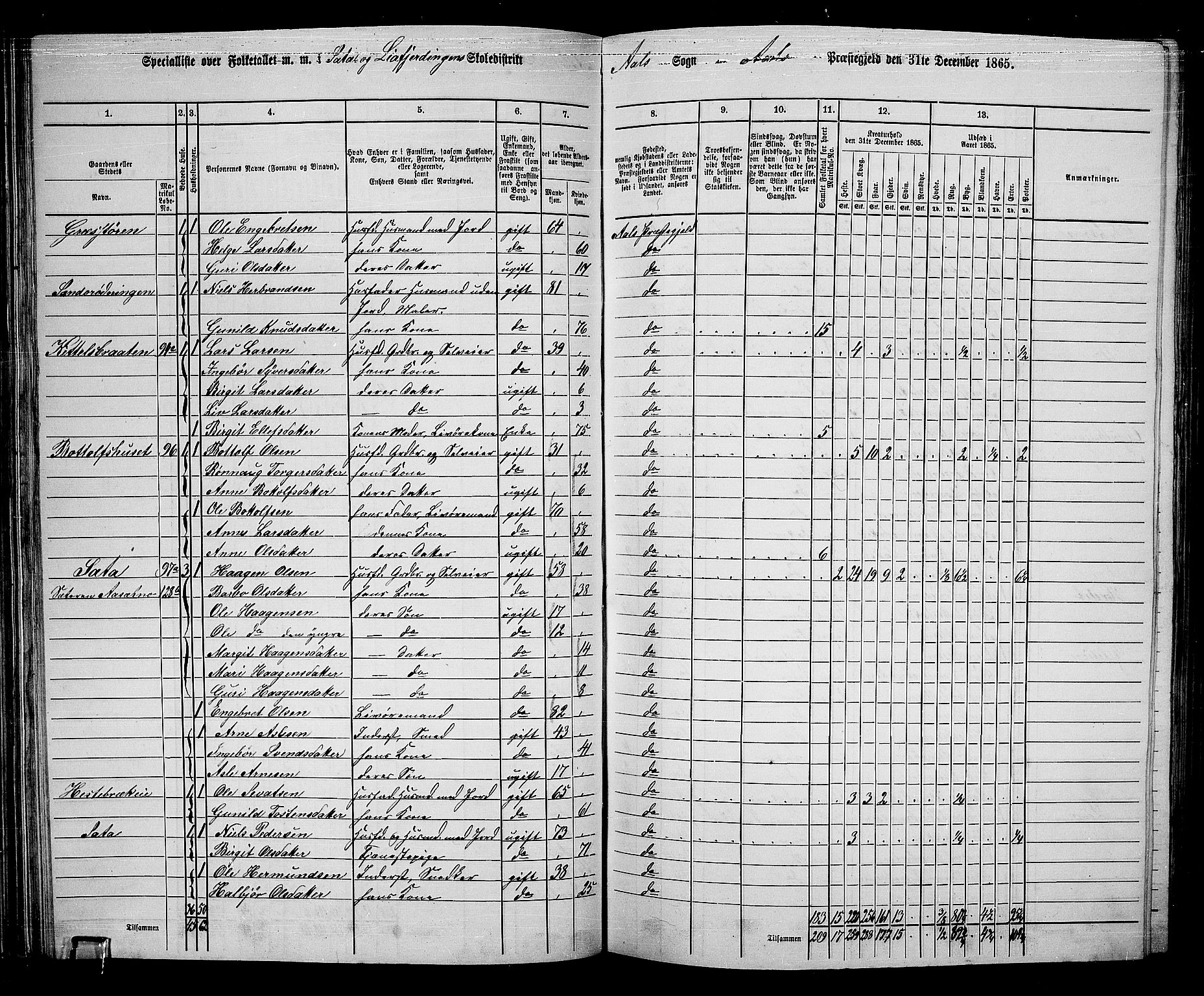 RA, 1865 census for Ål, 1865, p. 62