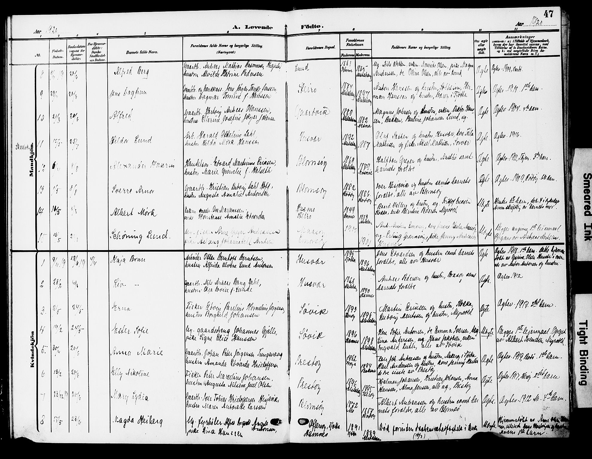 Ministerialprotokoller, klokkerbøker og fødselsregistre - Nordland, AV/SAT-A-1459/830/L0464: Parish register (copy) no. 830C06, 1906-1925, p. 47