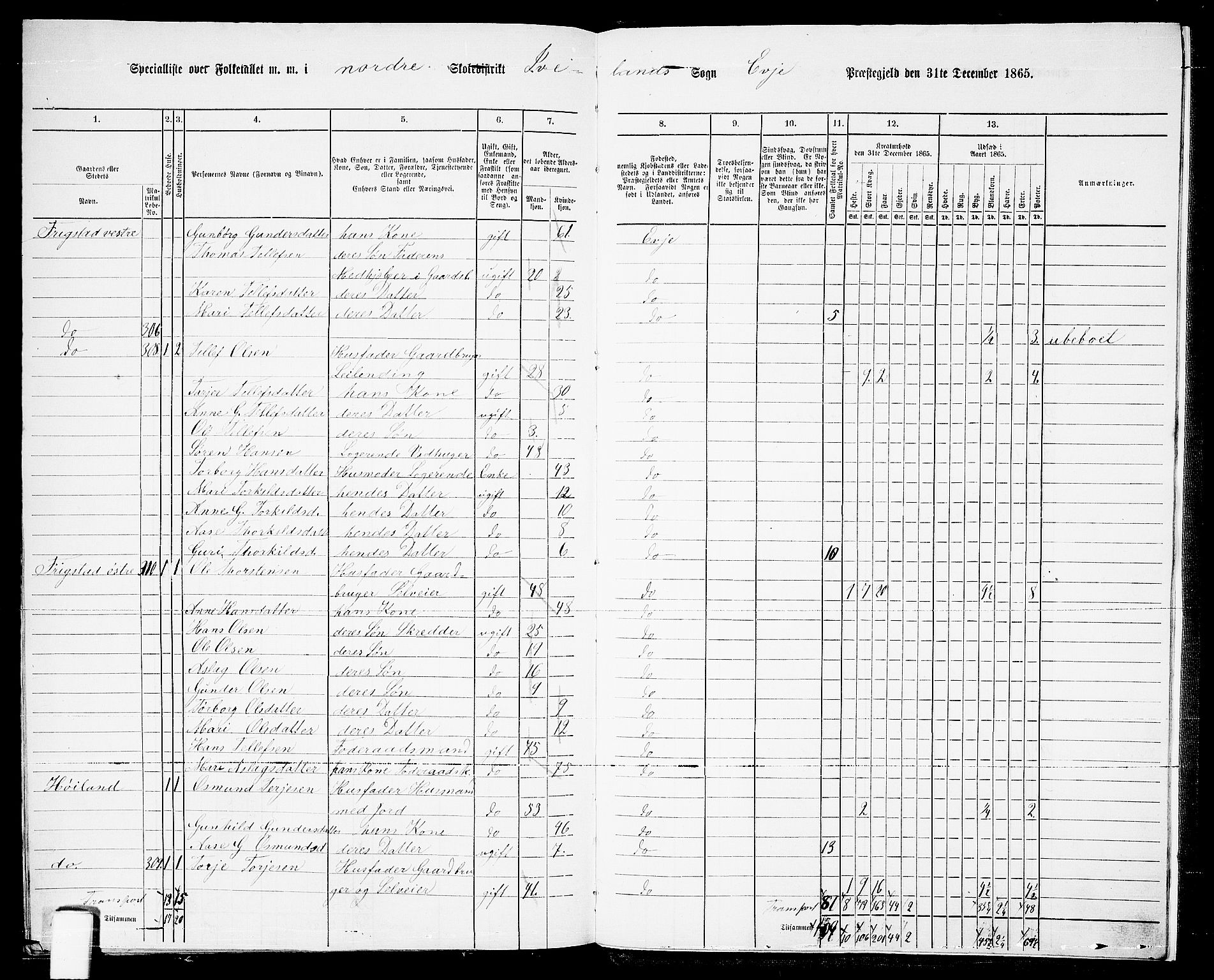 RA, 1865 census for Evje, 1865, p. 174