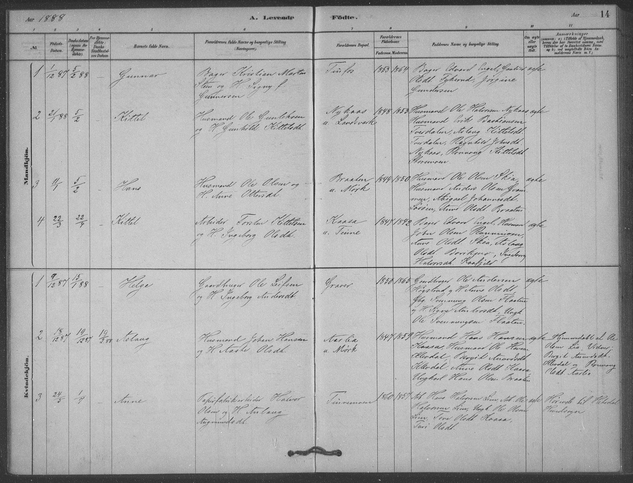 Heddal kirkebøker, AV/SAKO-A-268/F/Fb/L0002: Parish register (official) no. II 2, 1878-1913, p. 14