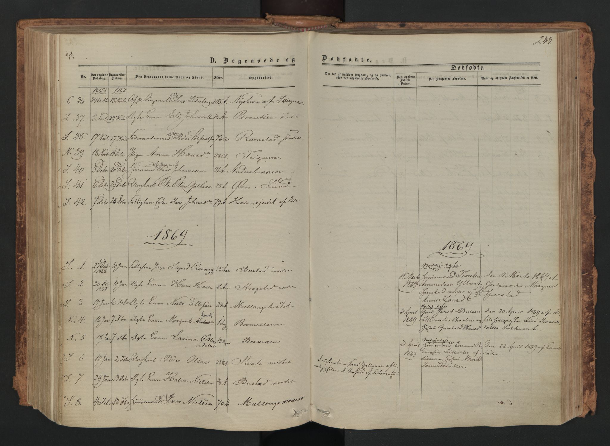 Skjåk prestekontor, SAH/PREST-072/H/Ha/Haa/L0001: Parish register (official) no. 1, 1863-1879, p. 243