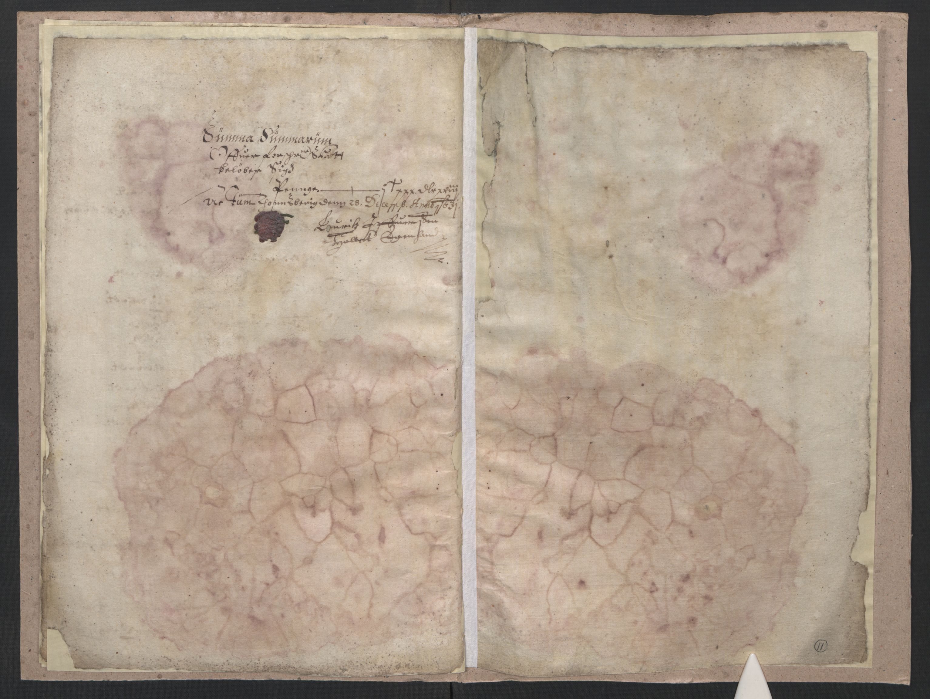 Rentekammeret inntil 1814, Reviderte regnskaper, Lensregnskaper, AV/RA-EA-5023/R/Rb/Rbo/L0013: Tønsberg len, 1631-1633