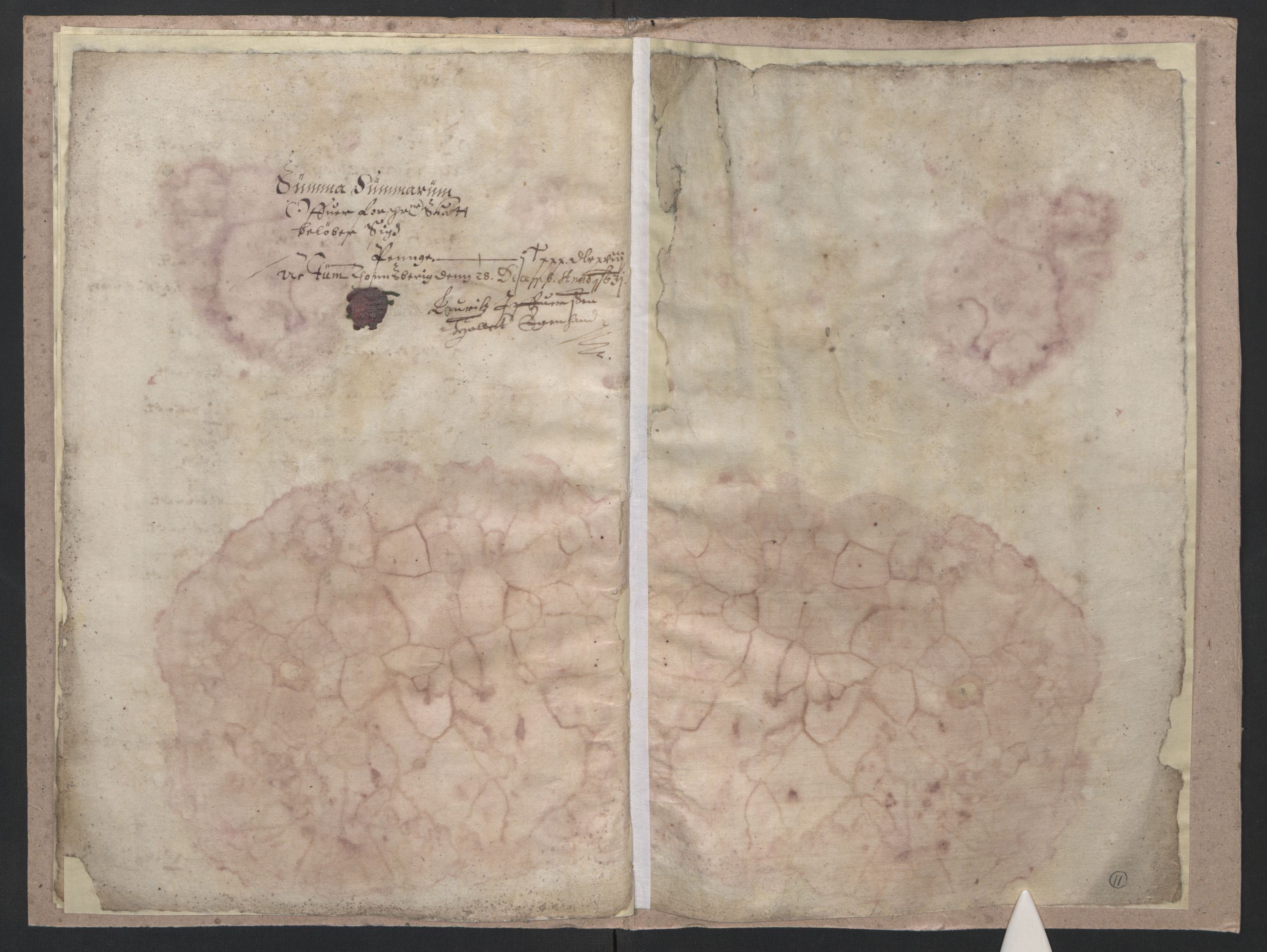 Rentekammeret inntil 1814, Reviderte regnskaper, Lensregnskaper, AV/RA-EA-5023/R/Rb/Rbo/L0013: Tønsberg len, 1631-1633