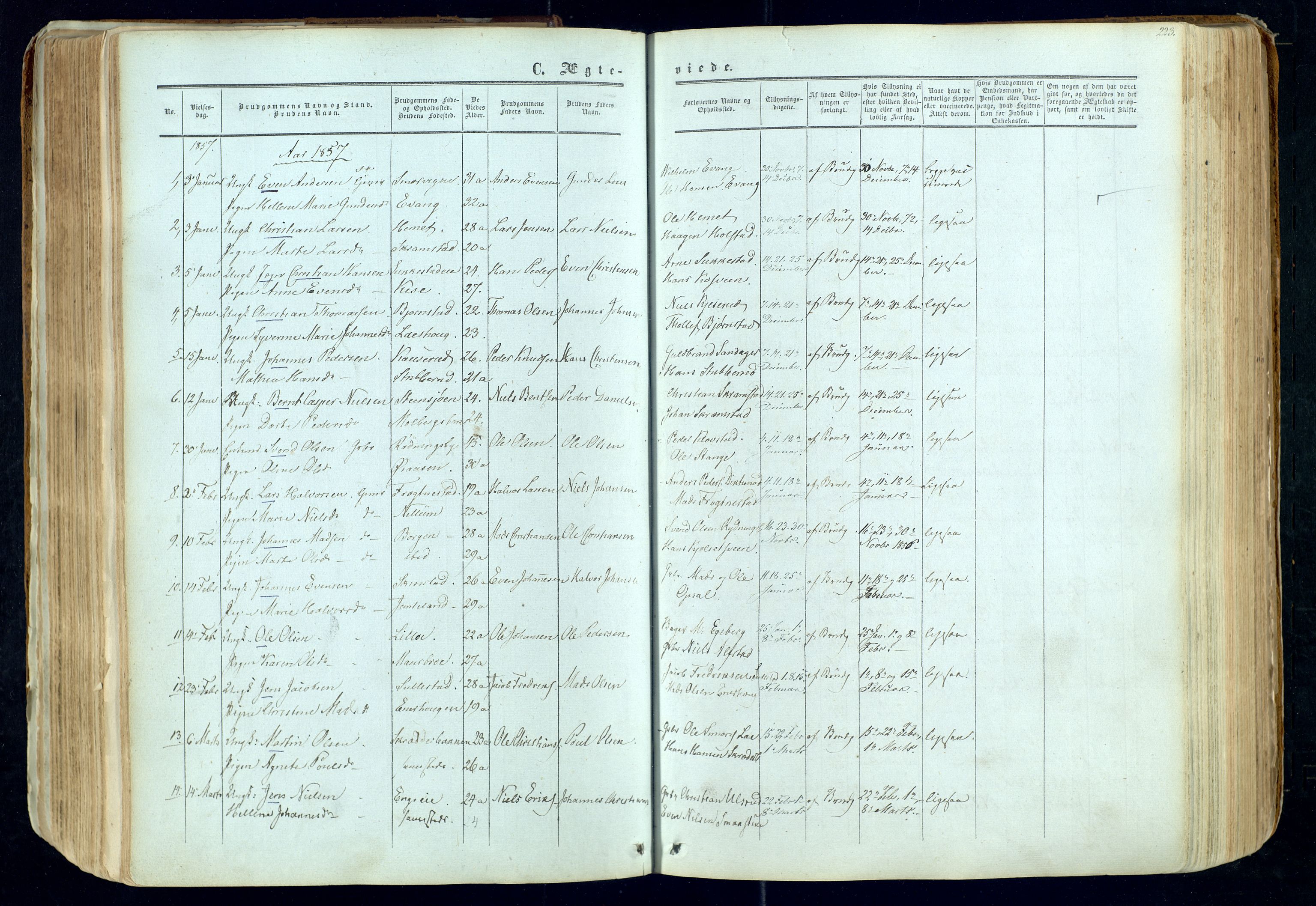 Østre Toten prestekontor, SAH/PREST-104/H/Ha/Haa/L0004: Parish register (official) no. 4, 1857-1865, p. 223
