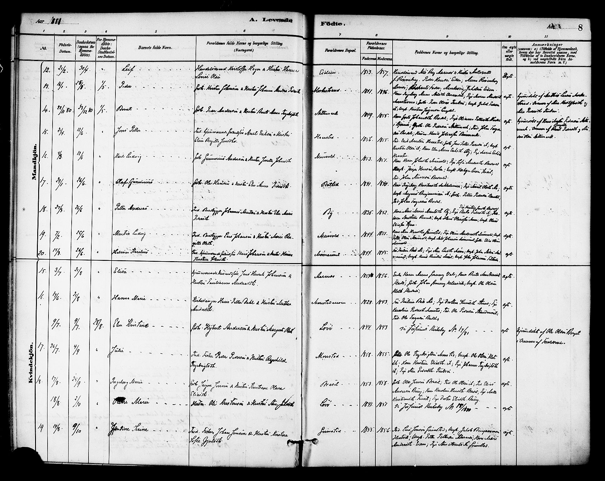 Ministerialprotokoller, klokkerbøker og fødselsregistre - Sør-Trøndelag, SAT/A-1456/655/L0680: Parish register (official) no. 655A09, 1880-1894, p. 8