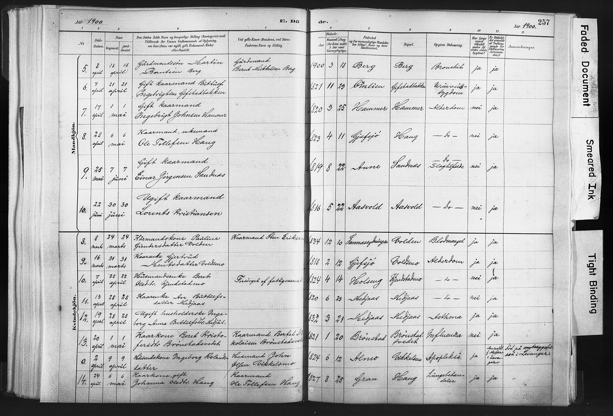Ministerialprotokoller, klokkerbøker og fødselsregistre - Nord-Trøndelag, SAT/A-1458/749/L0474: Parish register (official) no. 749A08, 1887-1903, p. 257