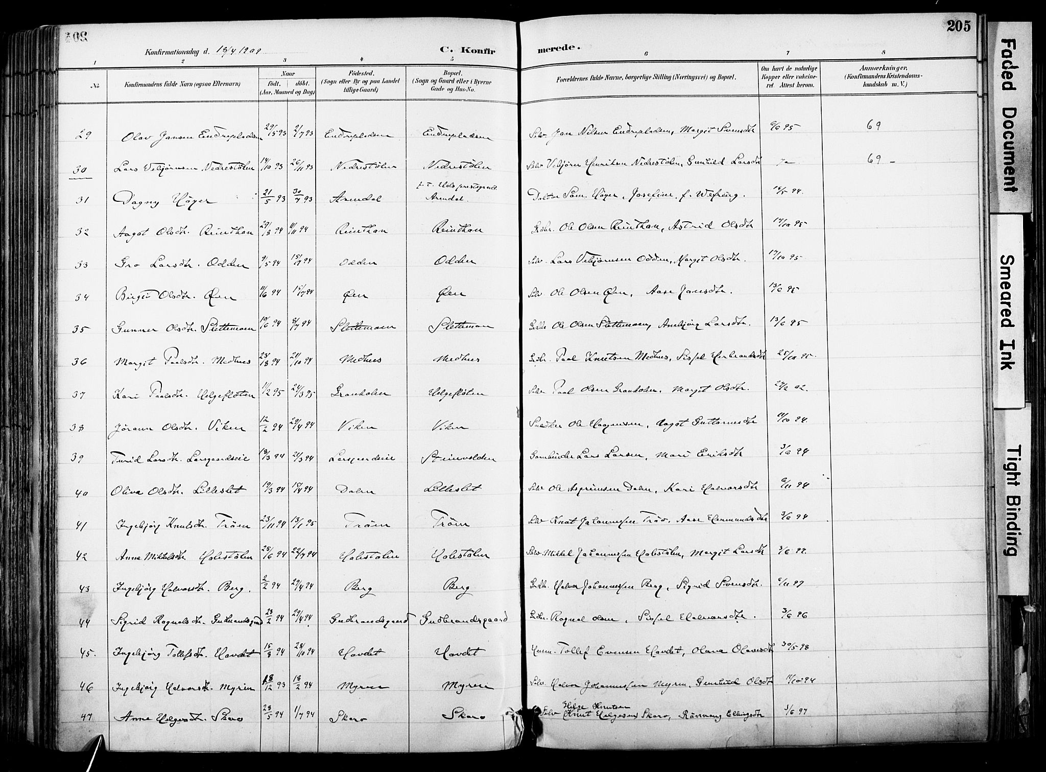 Hol kirkebøker, AV/SAKO-A-227/F/Fa/L0003: Parish register (official) no. I 3, 1887-1918, p. 205