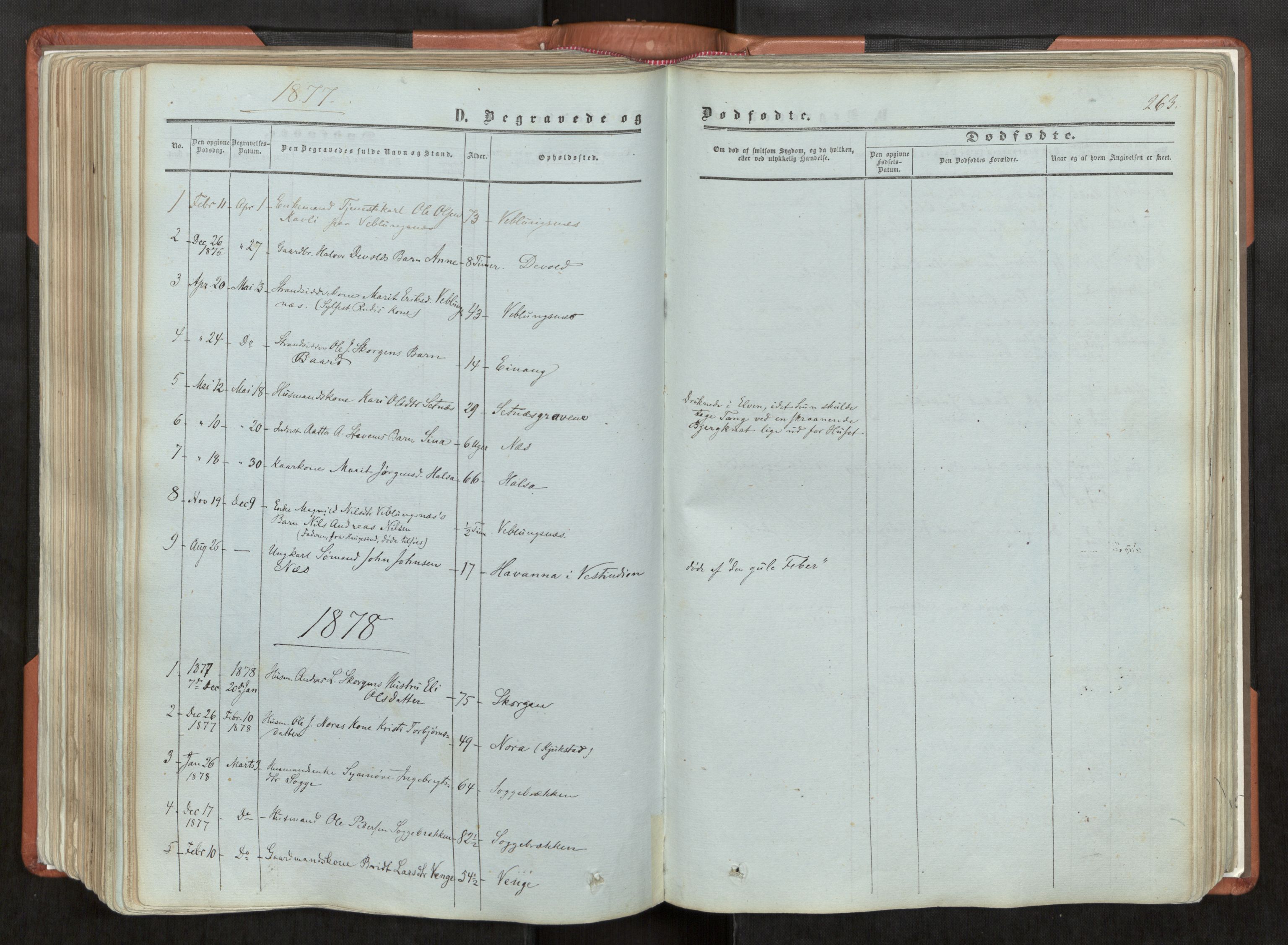 Ministerialprotokoller, klokkerbøker og fødselsregistre - Møre og Romsdal, AV/SAT-A-1454/544/L0572: Parish register (official) no. 544A05, 1854-1886, p. 263