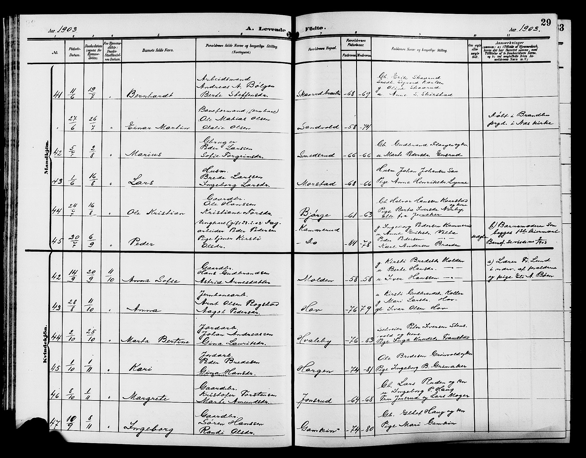 Gran prestekontor, AV/SAH-PREST-112/H/Ha/Hab/L0006: Parish register (copy) no. 6, 1901-1911, p. 29