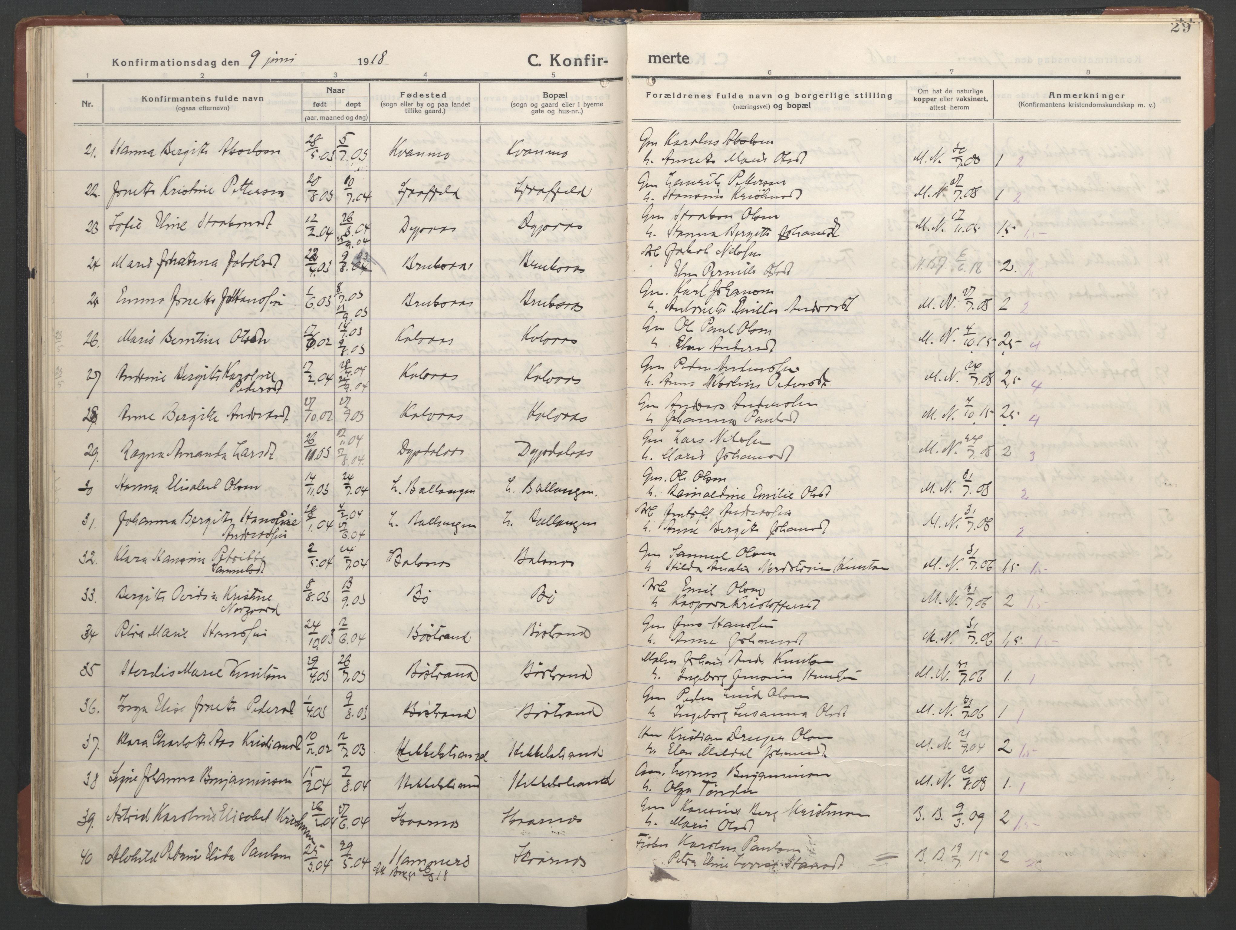 Ministerialprotokoller, klokkerbøker og fødselsregistre - Nordland, AV/SAT-A-1459/863/L0918: Parish register (copy) no. 863C08, 1906-1921, p. 29