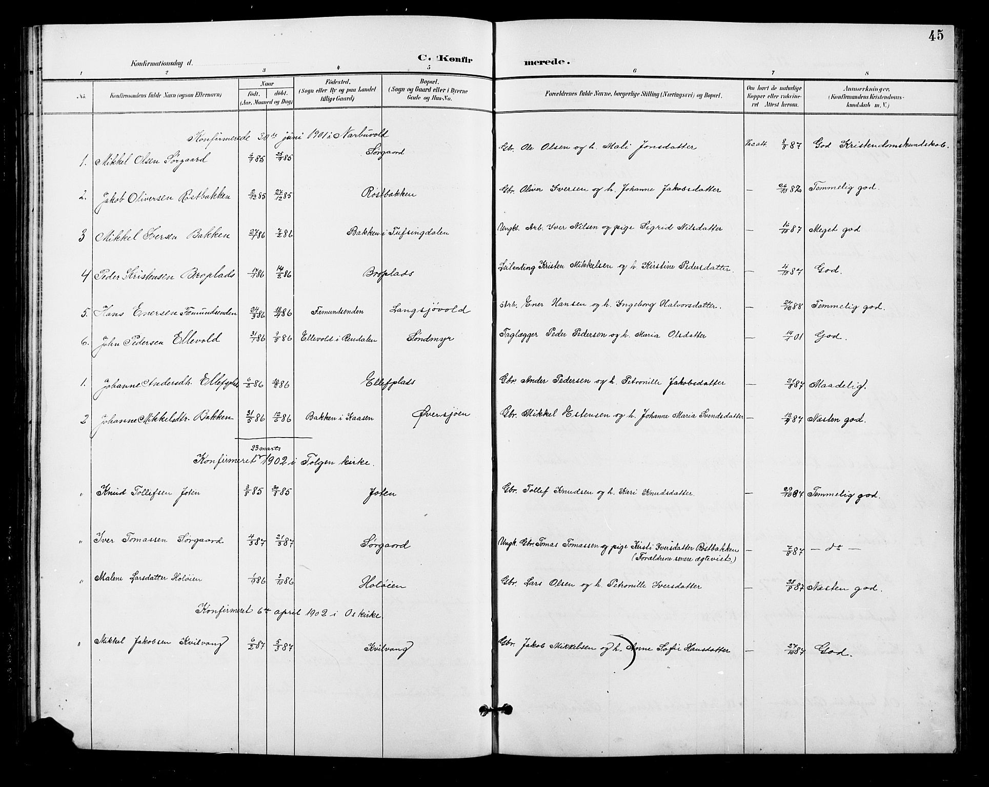 Tolga prestekontor, AV/SAH-PREST-062/L/L0011: Parish register (copy) no. 11, 1894-1925, p. 45