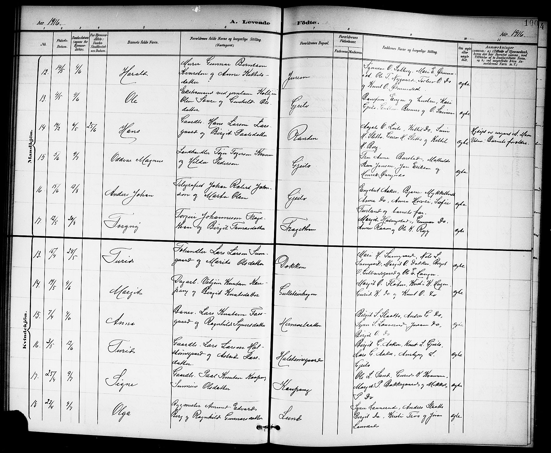 Hol kirkebøker, SAKO/A-227/G/Ga/L0001: Parish register (copy) no. I 1, 1900-1919, p. 100