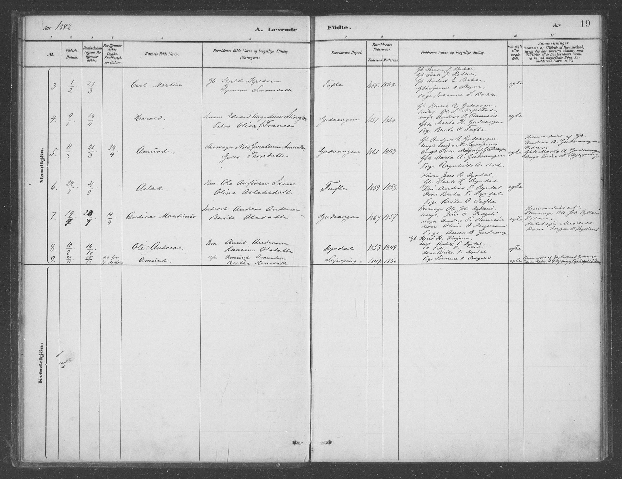 Aurland sokneprestembete, SAB/A-99937/H/Ha/Had/L0001: Parish register (official) no. D  1, 1880-1903, p. 19