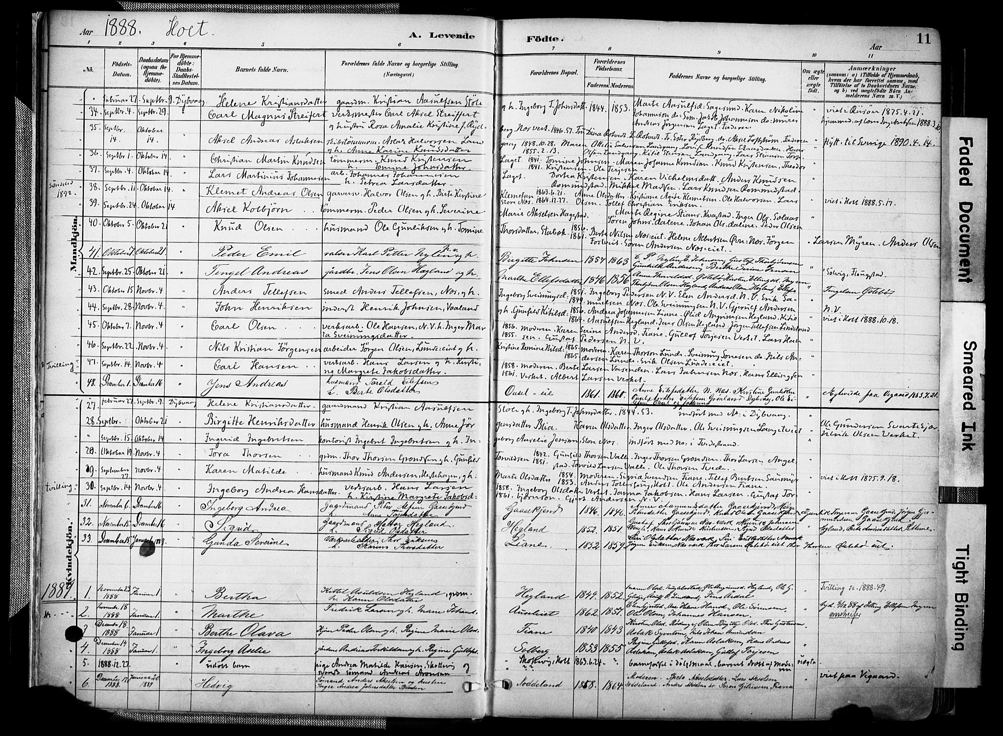 Holt sokneprestkontor, AV/SAK-1111-0021/F/Fa/L0012: Parish register (official) no. A 12, 1885-1907, p. 11