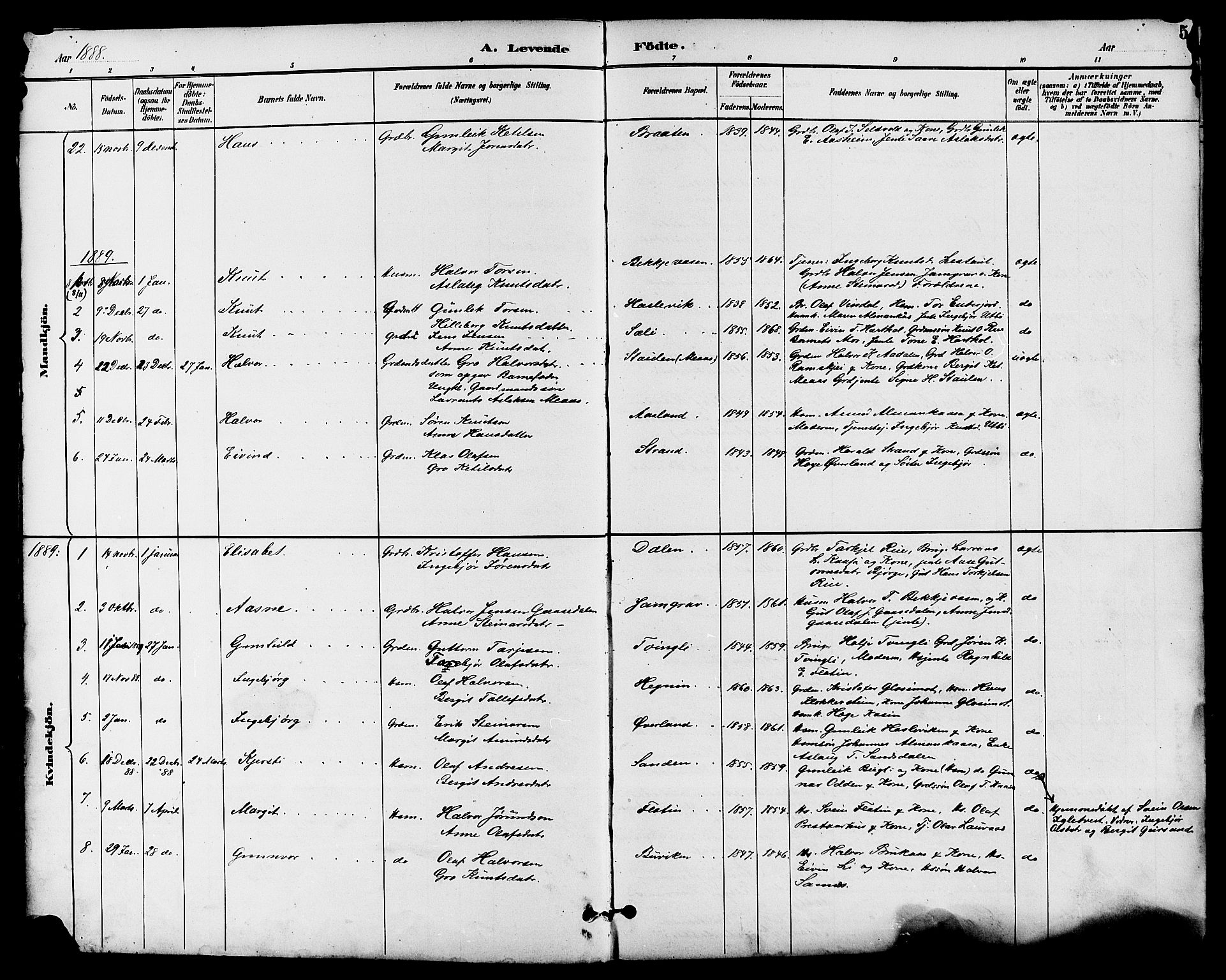 Seljord kirkebøker, SAKO/A-20/G/Ga/L0005: Parish register (copy) no. I 5, 1887-1914, p. 5