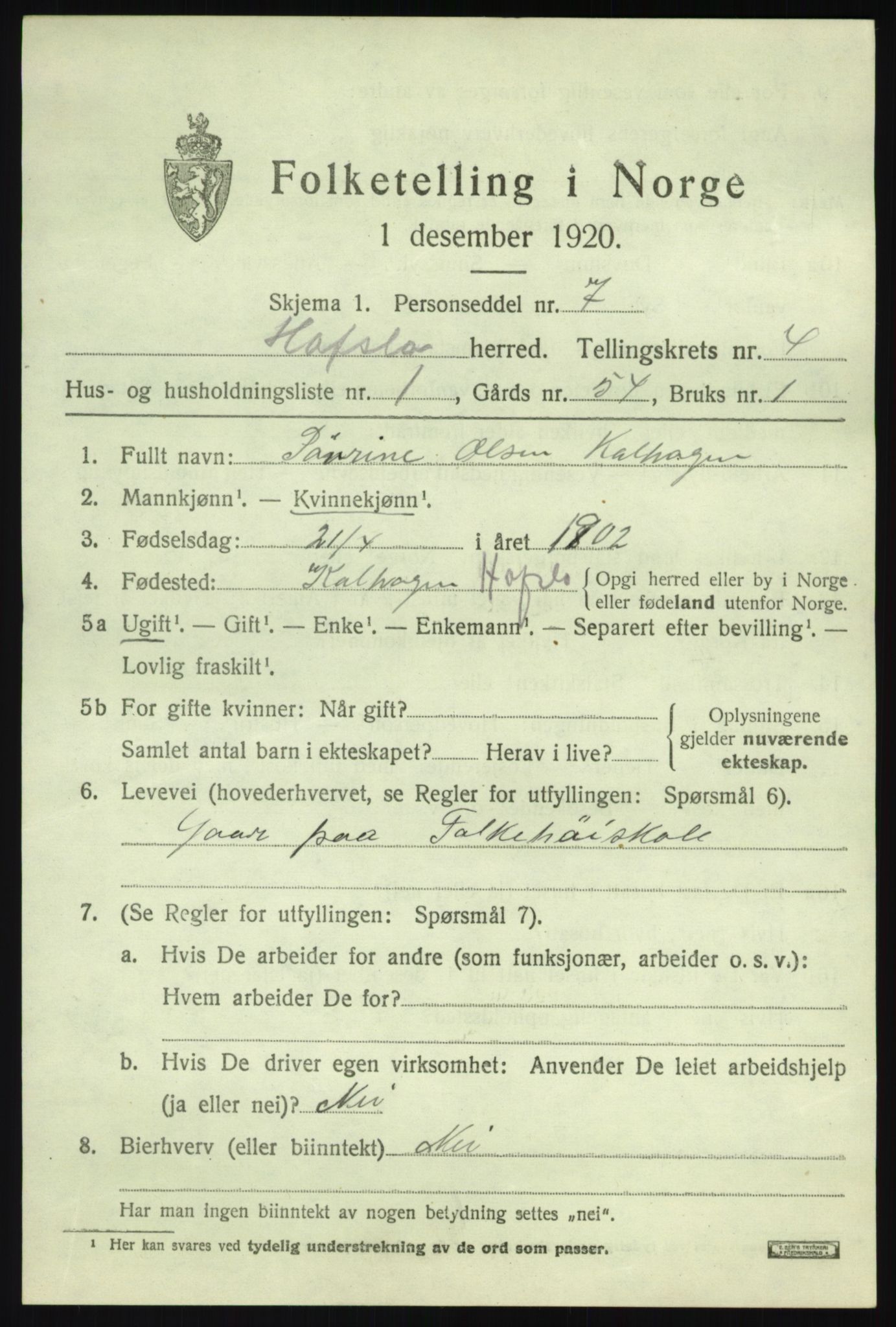 SAB, 1920 census for Hafslo, 1920, p. 2638