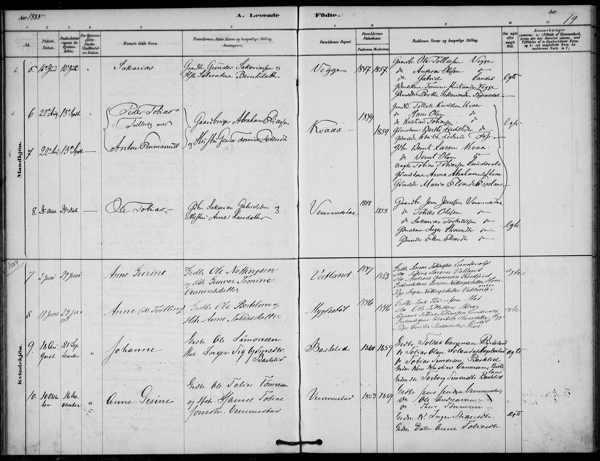 Lyngdal sokneprestkontor, AV/SAK-1111-0029/F/Fa/Fab/L0003: Parish register (official) no. A 3, 1878-1903, p. 19