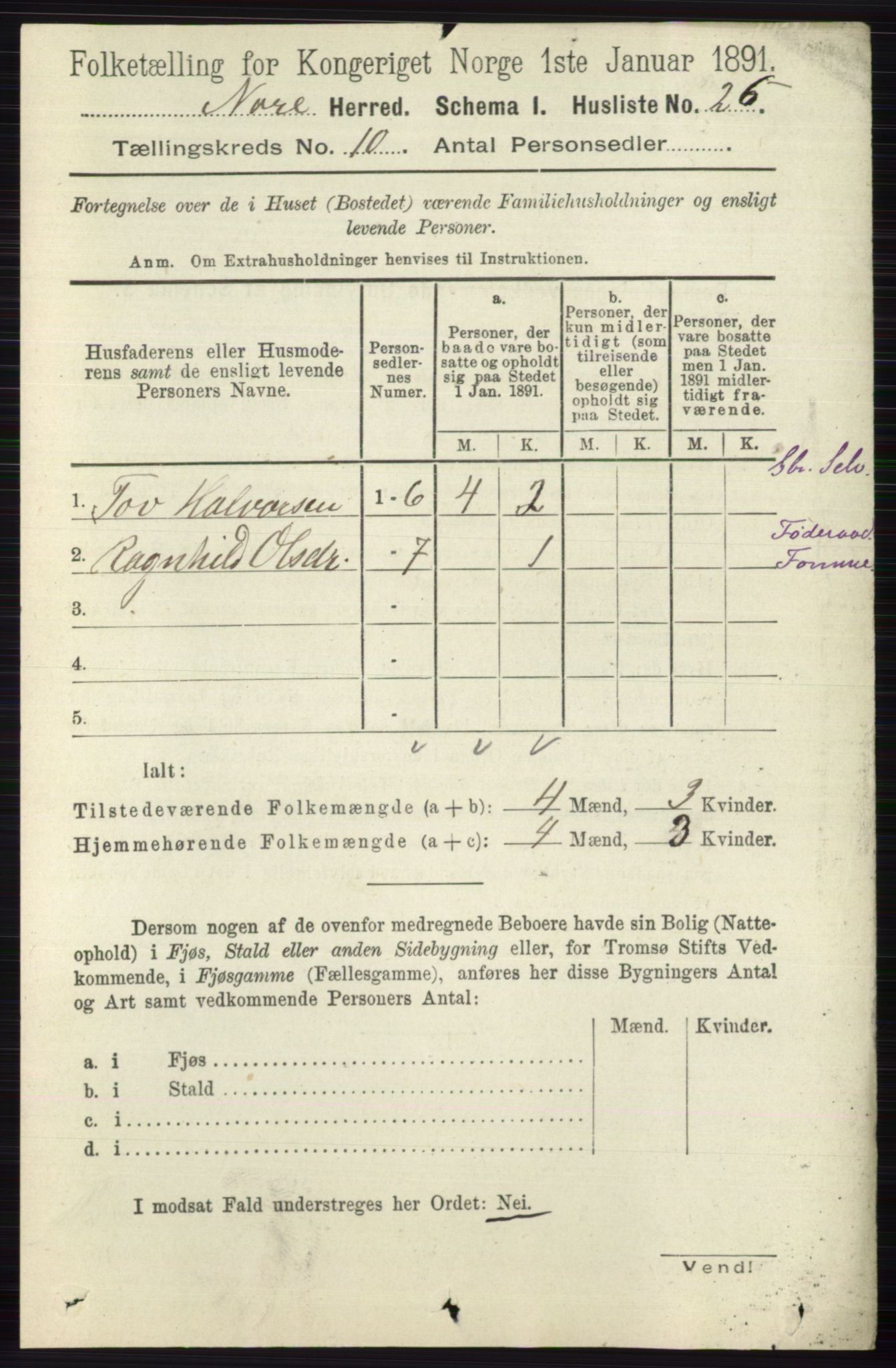 RA, 1891 census for 0633 Nore, 1891, p. 3541