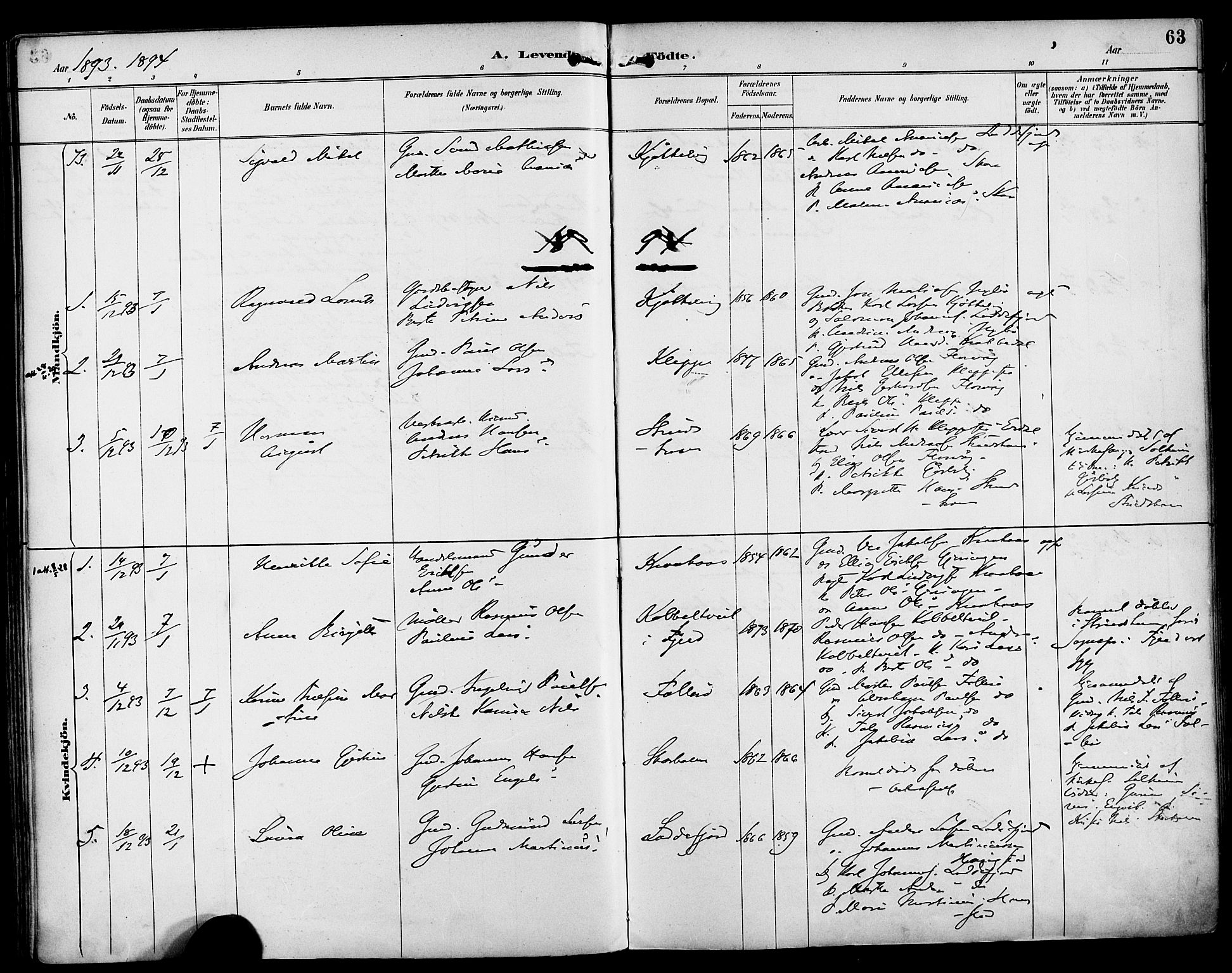 Askøy Sokneprestembete, AV/SAB-A-74101/H/Ha/Haa/Haab/L0002: Parish register (official) no. B 2, 1889-1902, p. 63