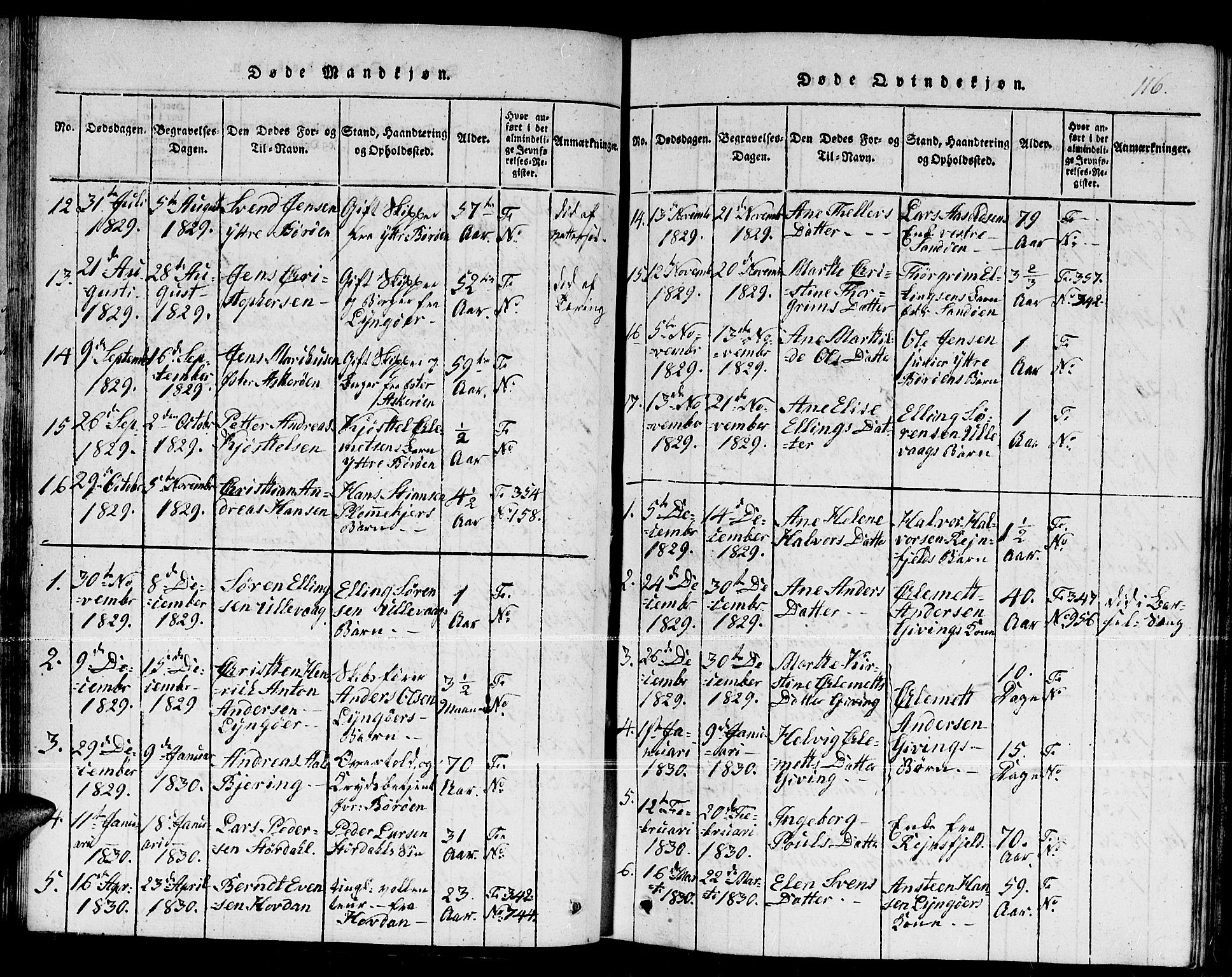 Dypvåg sokneprestkontor, SAK/1111-0007/F/Fb/Fba/L0009: Parish register (copy) no. B 9, 1816-1842, p. 116