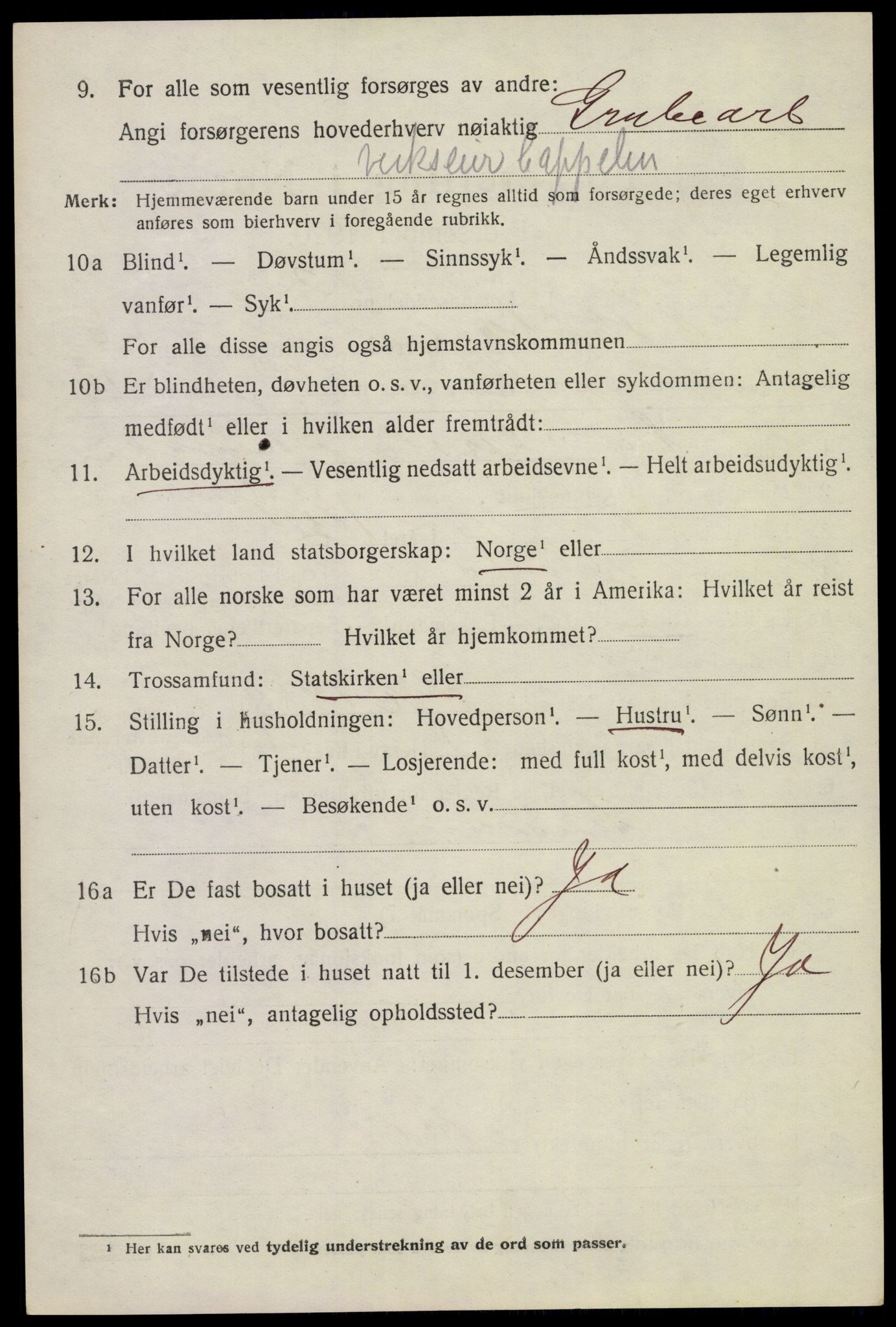 SAKO, 1920 census for Holla, 1920, p. 6018