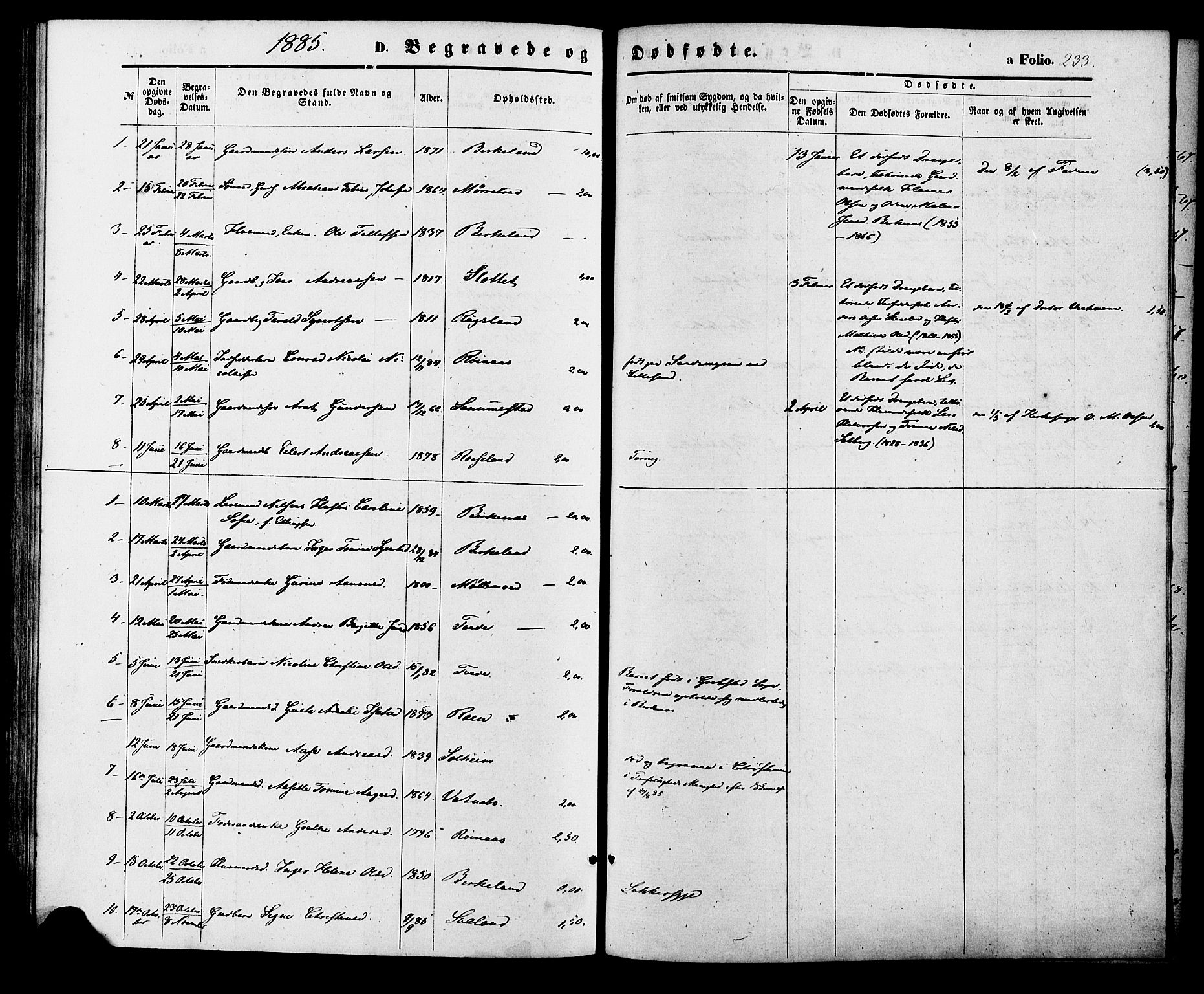 Birkenes sokneprestkontor, AV/SAK-1111-0004/F/Fa/L0004: Parish register (official) no. A 4, 1867-1886, p. 233