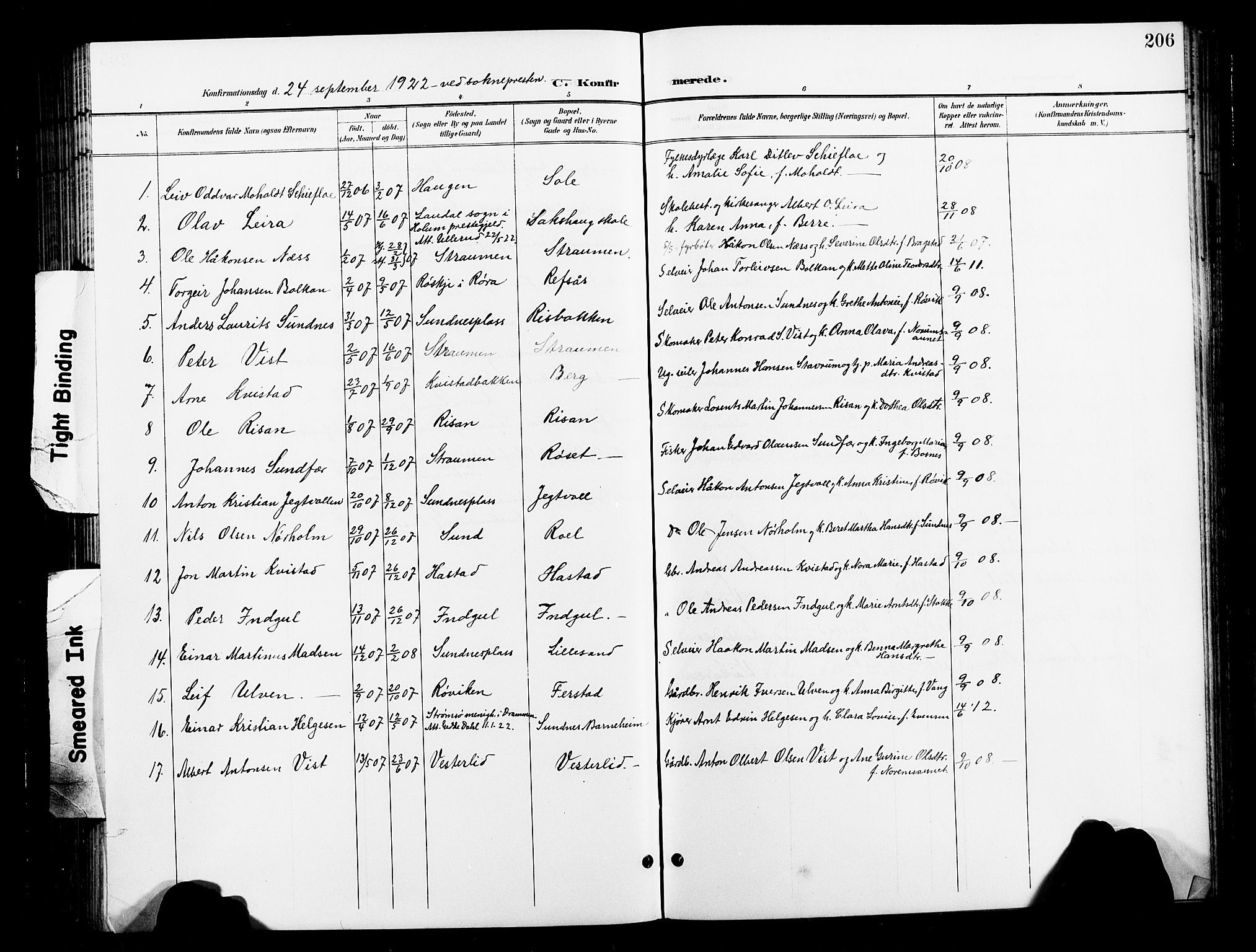 Ministerialprotokoller, klokkerbøker og fødselsregistre - Nord-Trøndelag, SAT/A-1458/730/L0302: Parish register (copy) no. 730C05, 1898-1924, p. 206