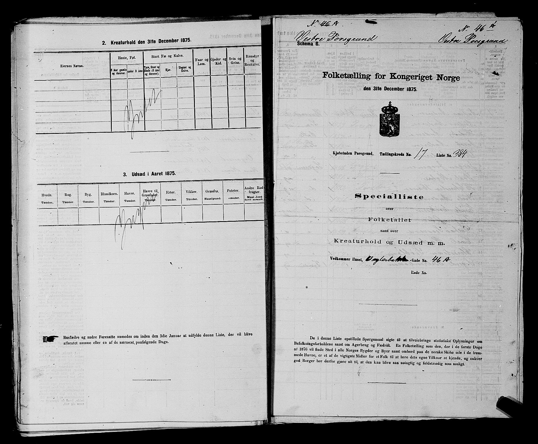 SAKO, 1875 census for 0805P Porsgrunn, 1875, p. 865