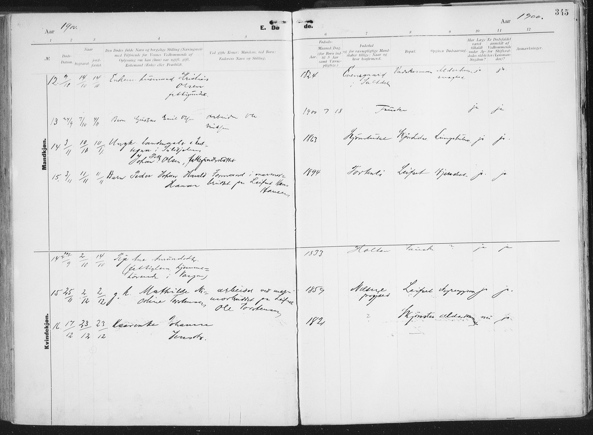 Ministerialprotokoller, klokkerbøker og fødselsregistre - Nordland, AV/SAT-A-1459/849/L0696: Parish register (official) no. 849A08, 1898-1910, p. 345