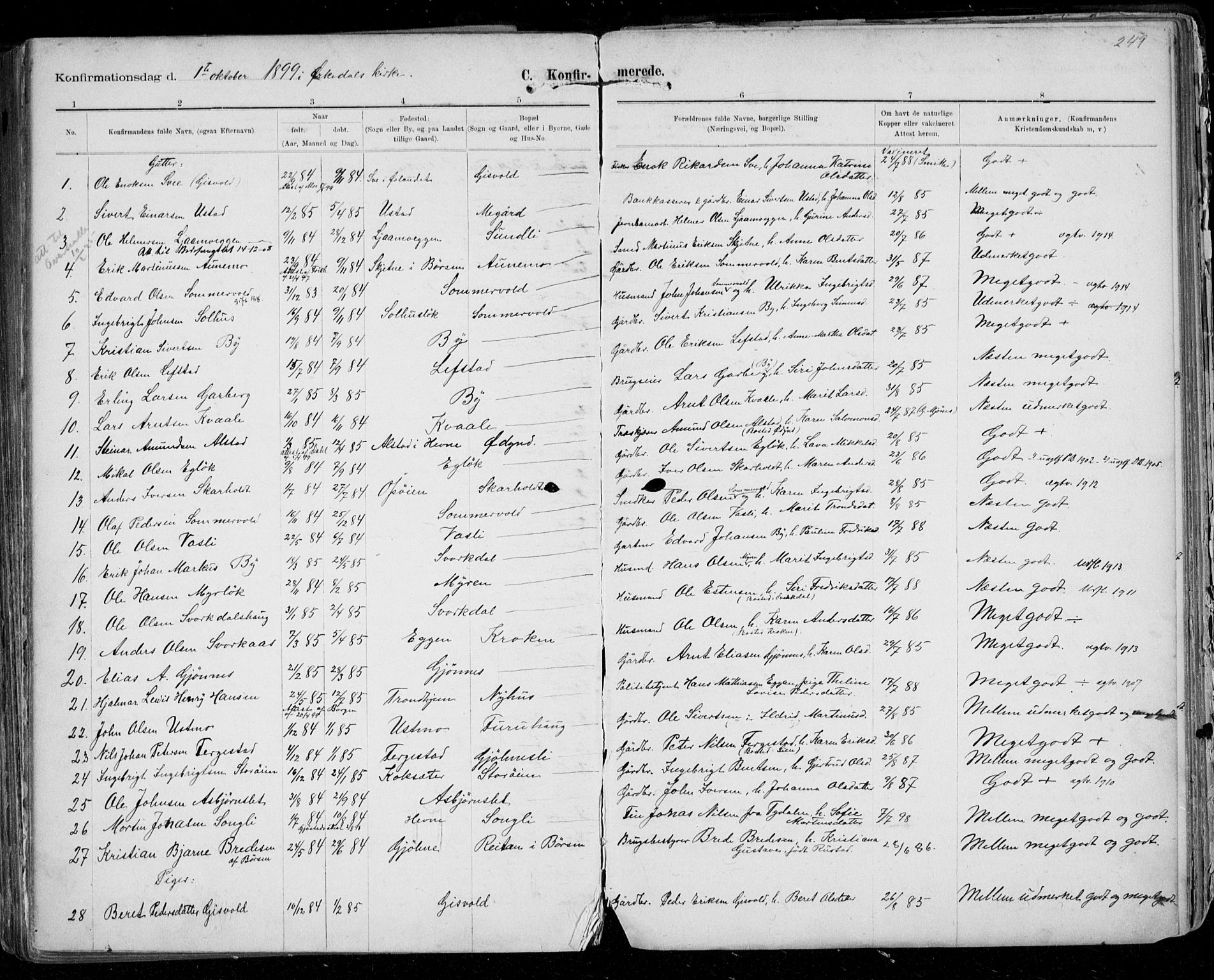 Ministerialprotokoller, klokkerbøker og fødselsregistre - Sør-Trøndelag, SAT/A-1456/668/L0811: Parish register (official) no. 668A11, 1894-1913, p. 249