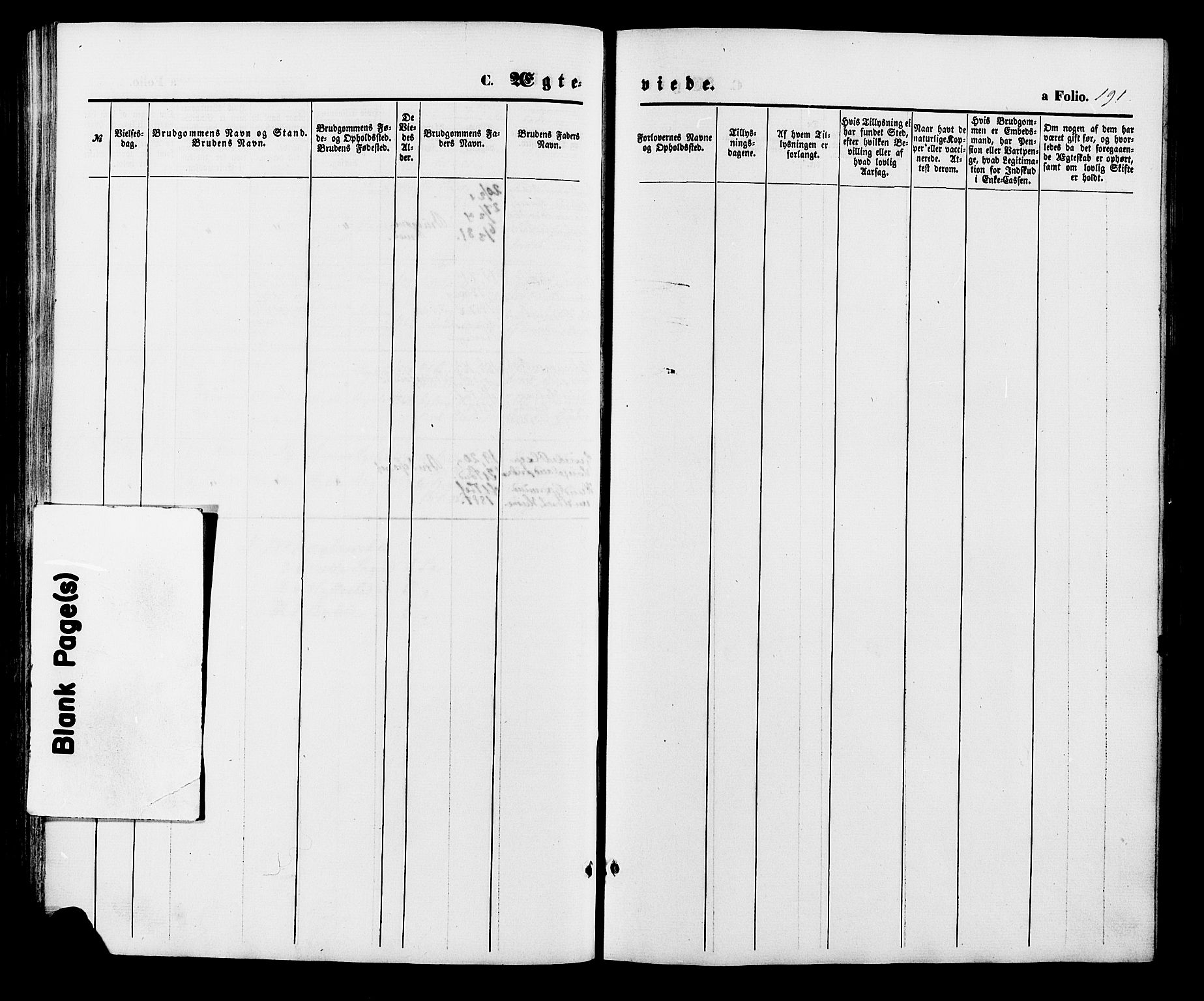 Valle sokneprestkontor, AV/SAK-1111-0044/F/Fa/Fac/L0008: Parish register (official) no. A 8, 1868-1882, p. 191