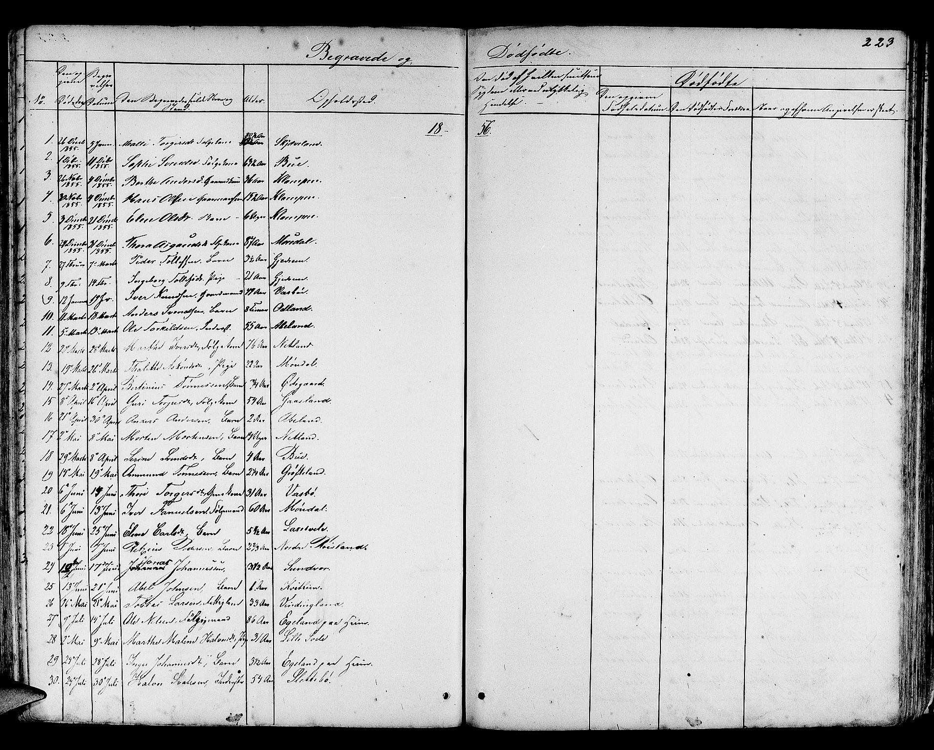 Helleland sokneprestkontor, SAST/A-101810: Parish register (copy) no. B 3, 1847-1886, p. 223