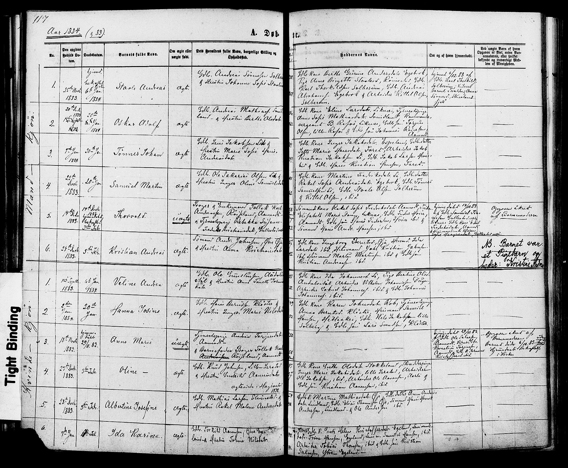 Kvinesdal sokneprestkontor, SAK/1111-0026/F/Fa/Fab/L0007: Parish register (official) no. A 7, 1870-1885, p. 117