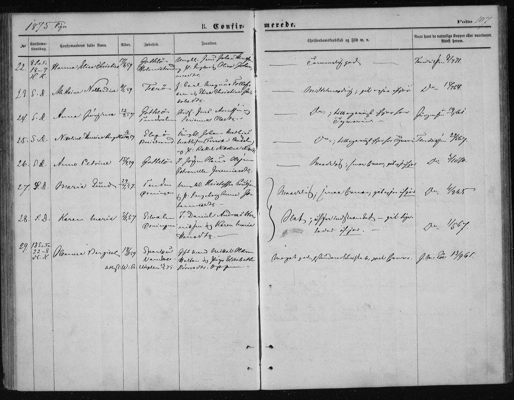 Ministerialprotokoller, klokkerbøker og fødselsregistre - Nordland, AV/SAT-A-1459/834/L0506: Parish register (official) no. 834A04, 1872-1878, p. 107